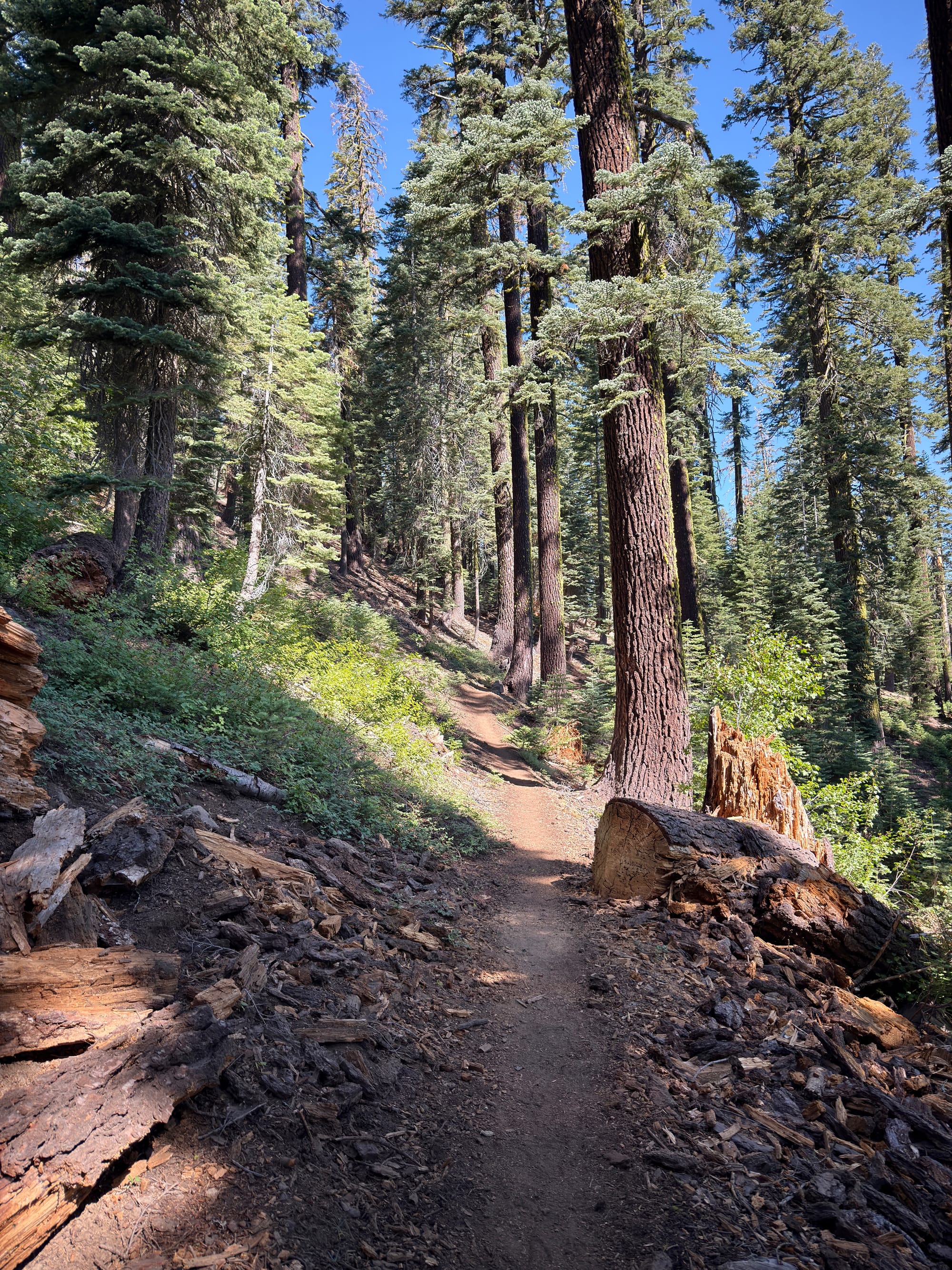 Pacific Crest Trail - Day 119 - Halfway!