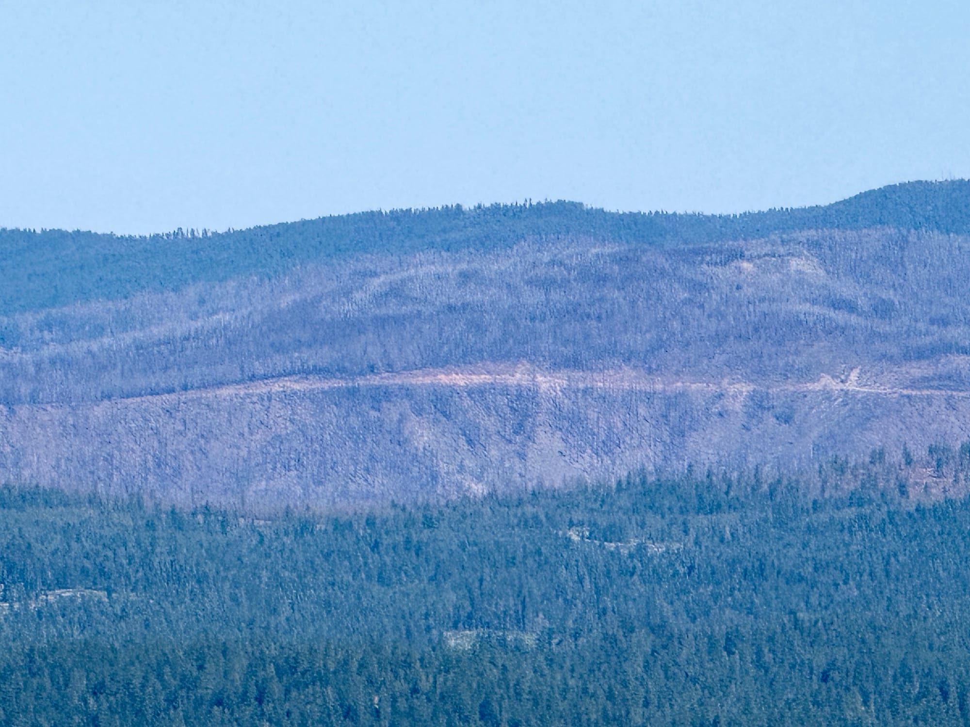 Pacific Crest Trail - Day 119 - Halfway!
