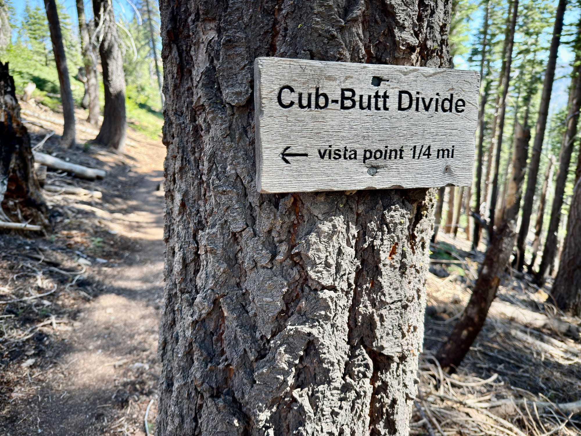 Pacific Crest Trail - Day 119 - Halfway!