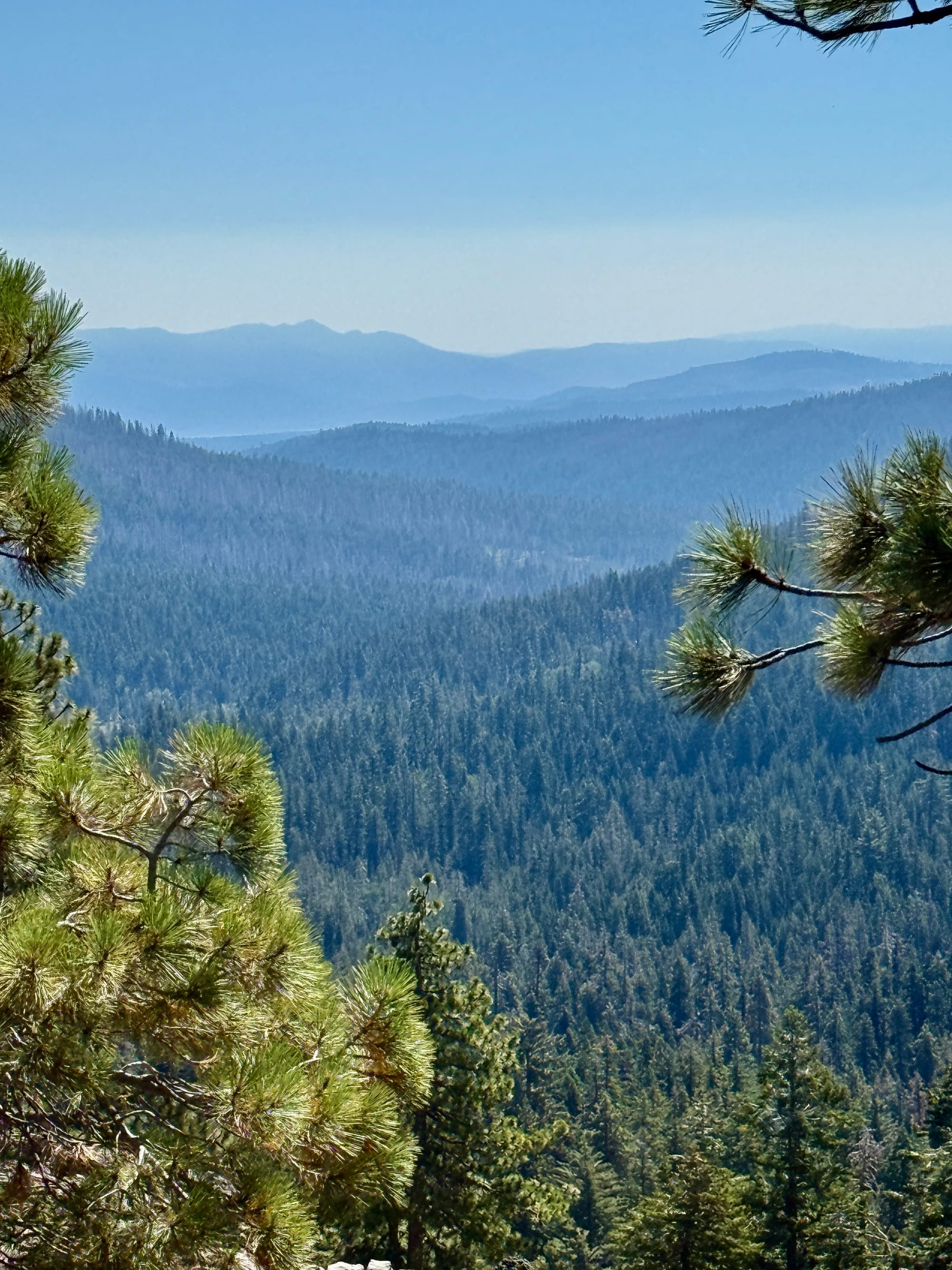 Pacific Crest Trail - Day 119 - Halfway!