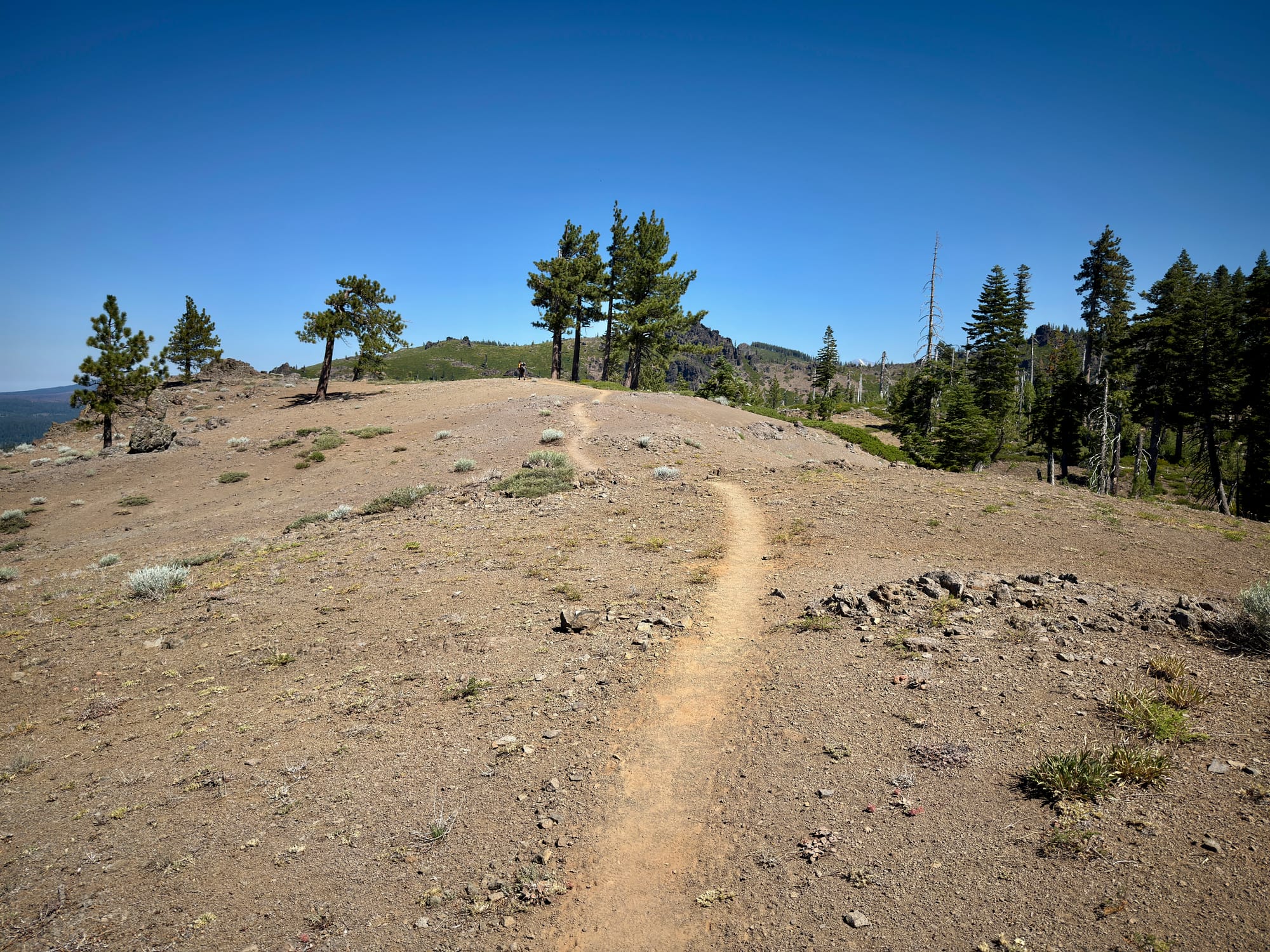 Pacific Crest Trail - Day 119 - Halfway!