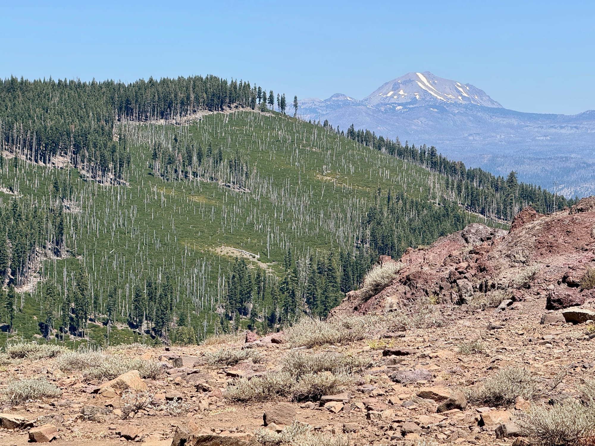 Pacific Crest Trail - Day 119 - Halfway!