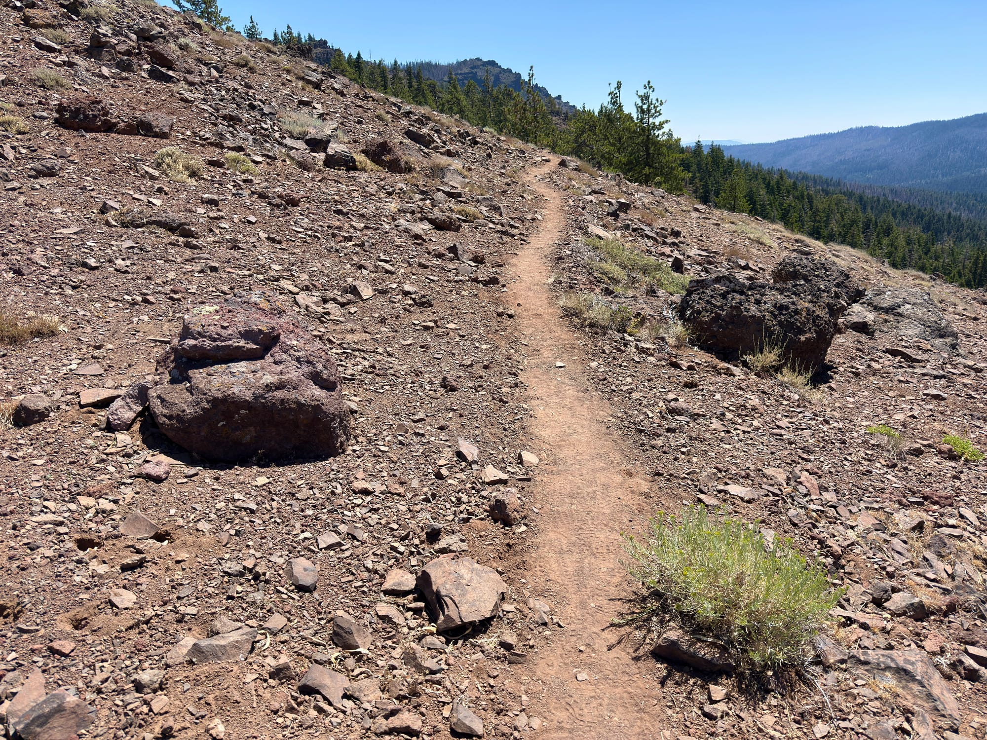 Pacific Crest Trail - Day 119 - Halfway!