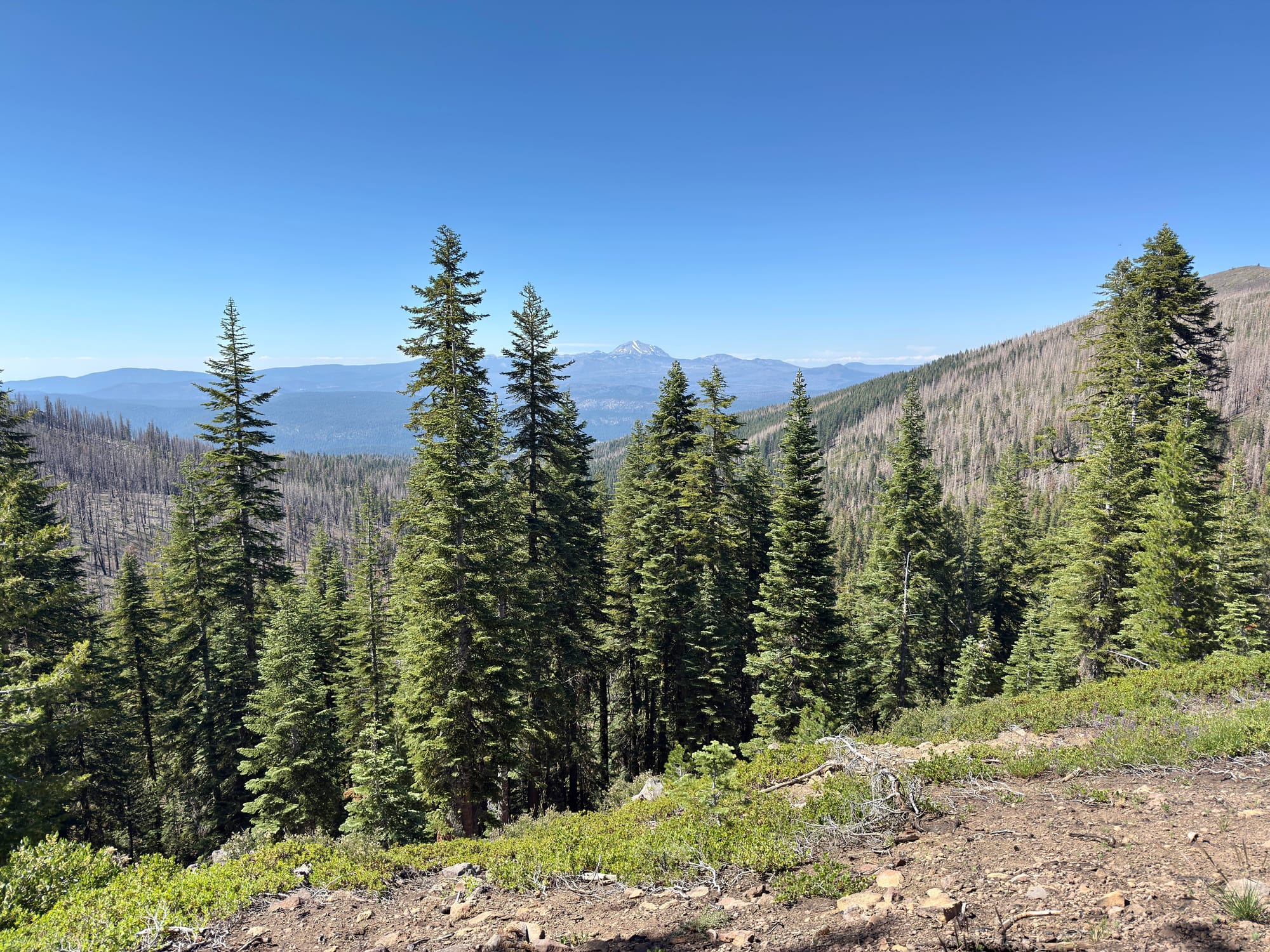Pacific Crest Trail - Day 119 - Halfway!