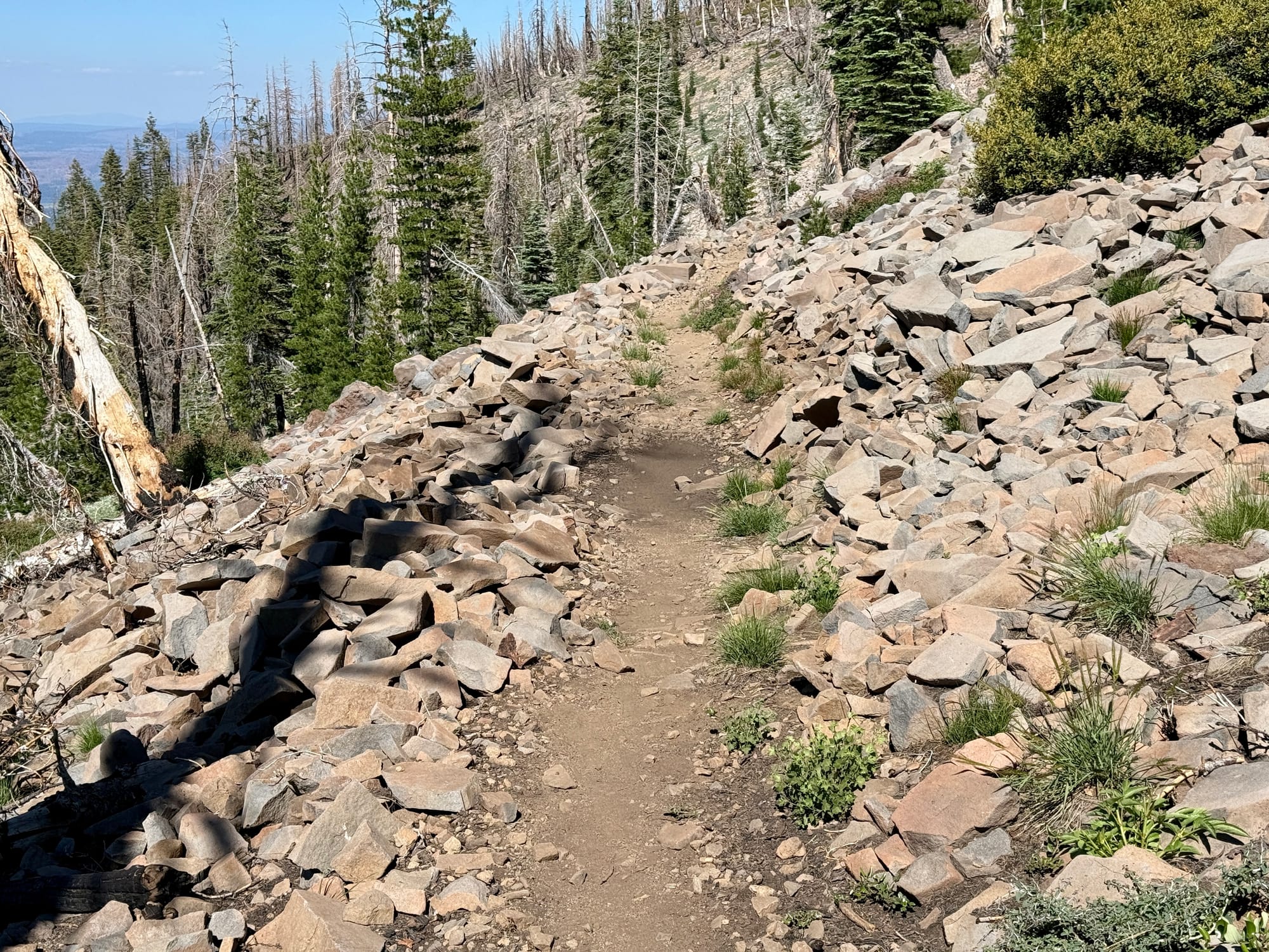 Pacific Crest Trail - Day 119 - Halfway!