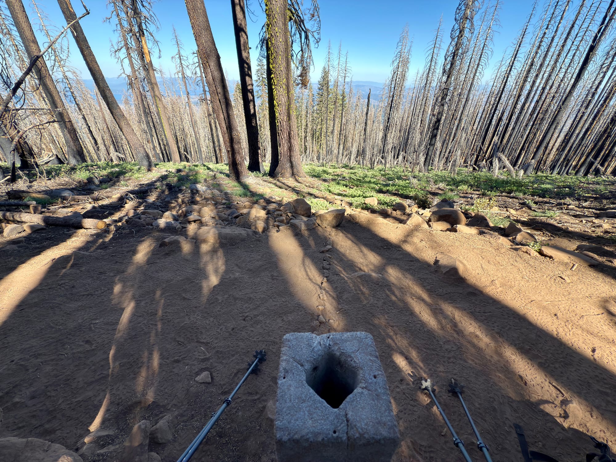 Pacific Crest Trail - Day 119 - Halfway!
