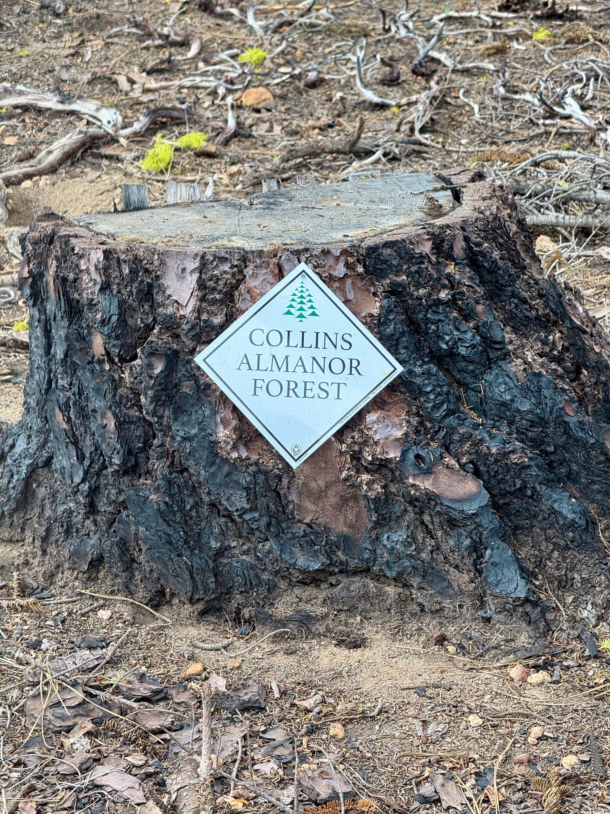 Pacific Crest Trail - Day 120 - Drakesbad Ranch