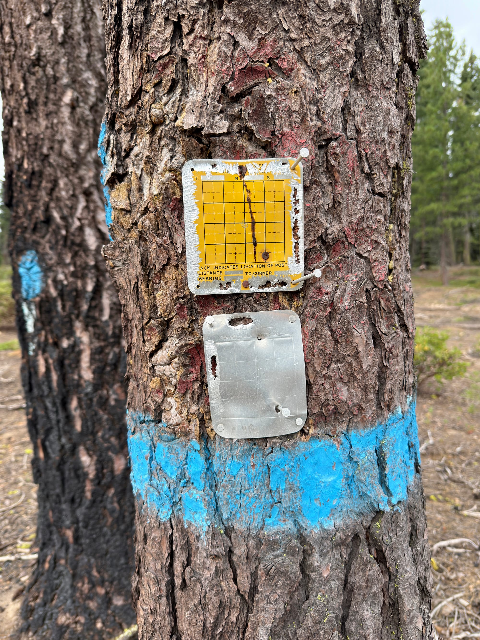 Pacific Crest Trail - Day 120 - Drakesbad Ranch