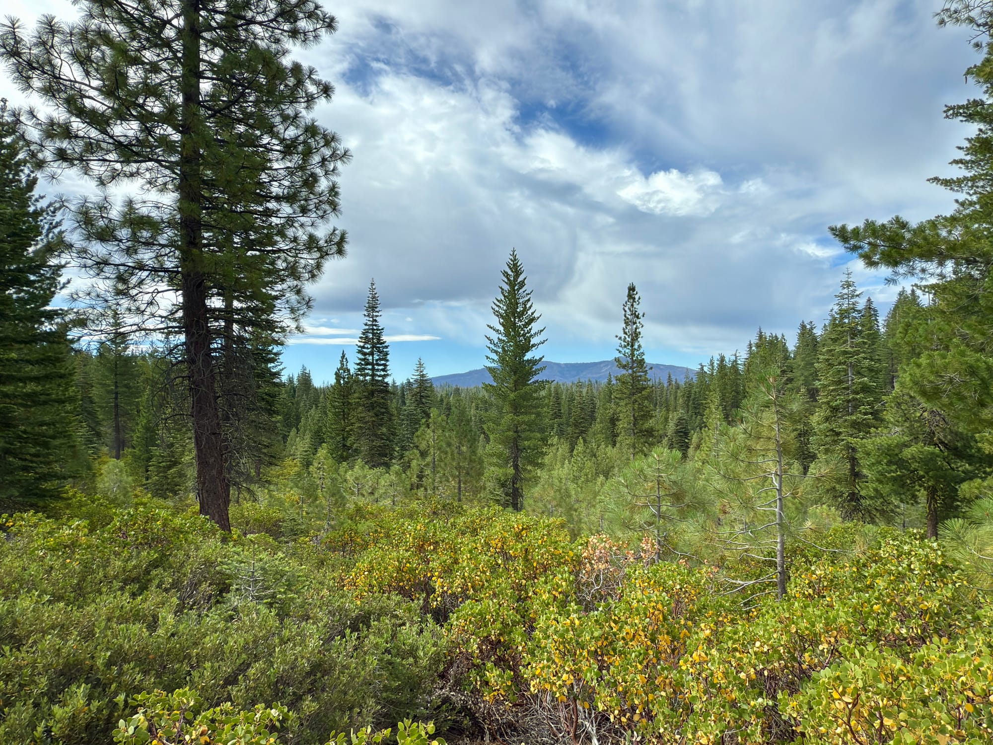 Pacific Crest Trail - Day 120 - Drakesbad Ranch