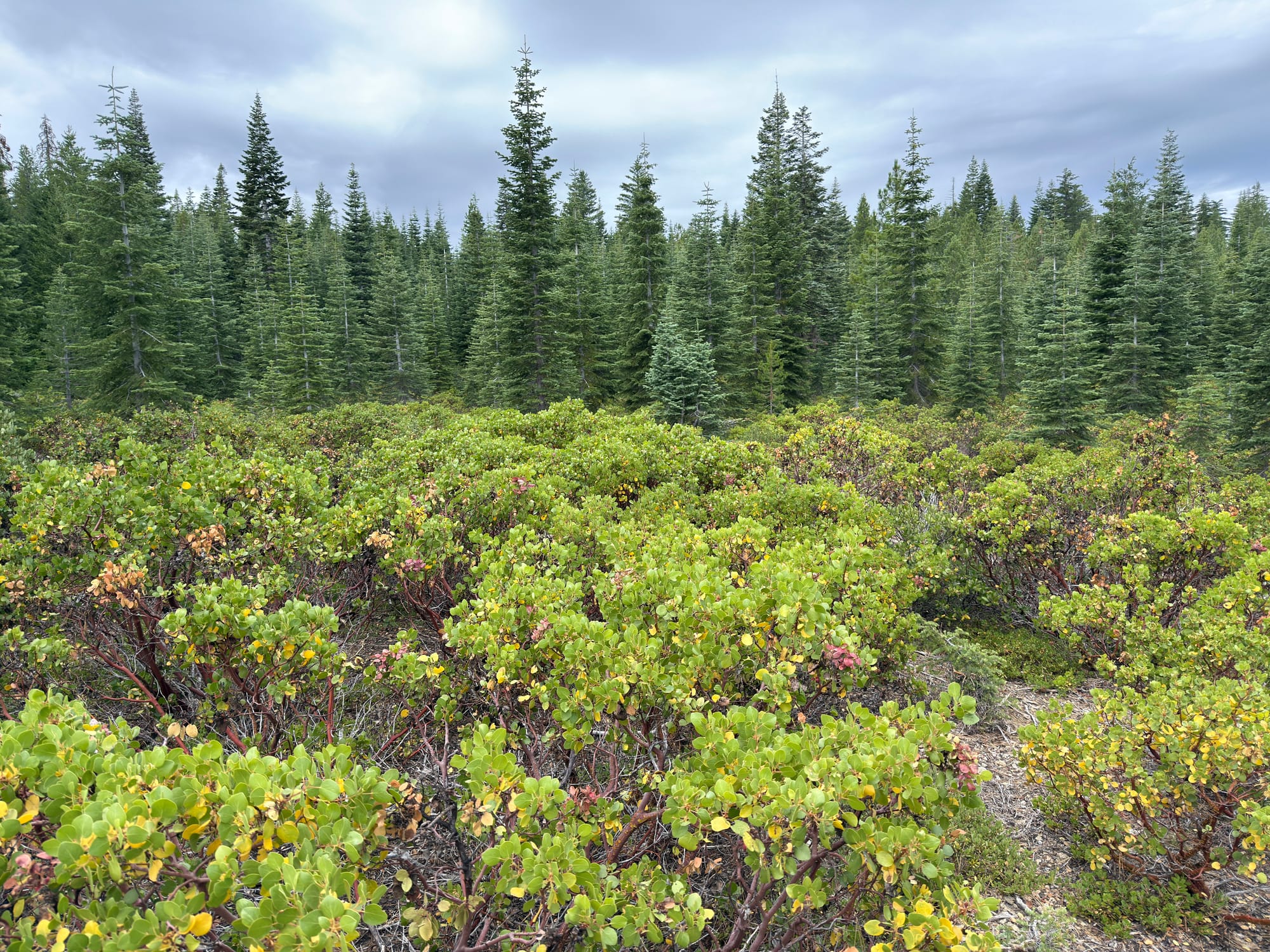 Pacific Crest Trail - Day 120 - Drakesbad Ranch