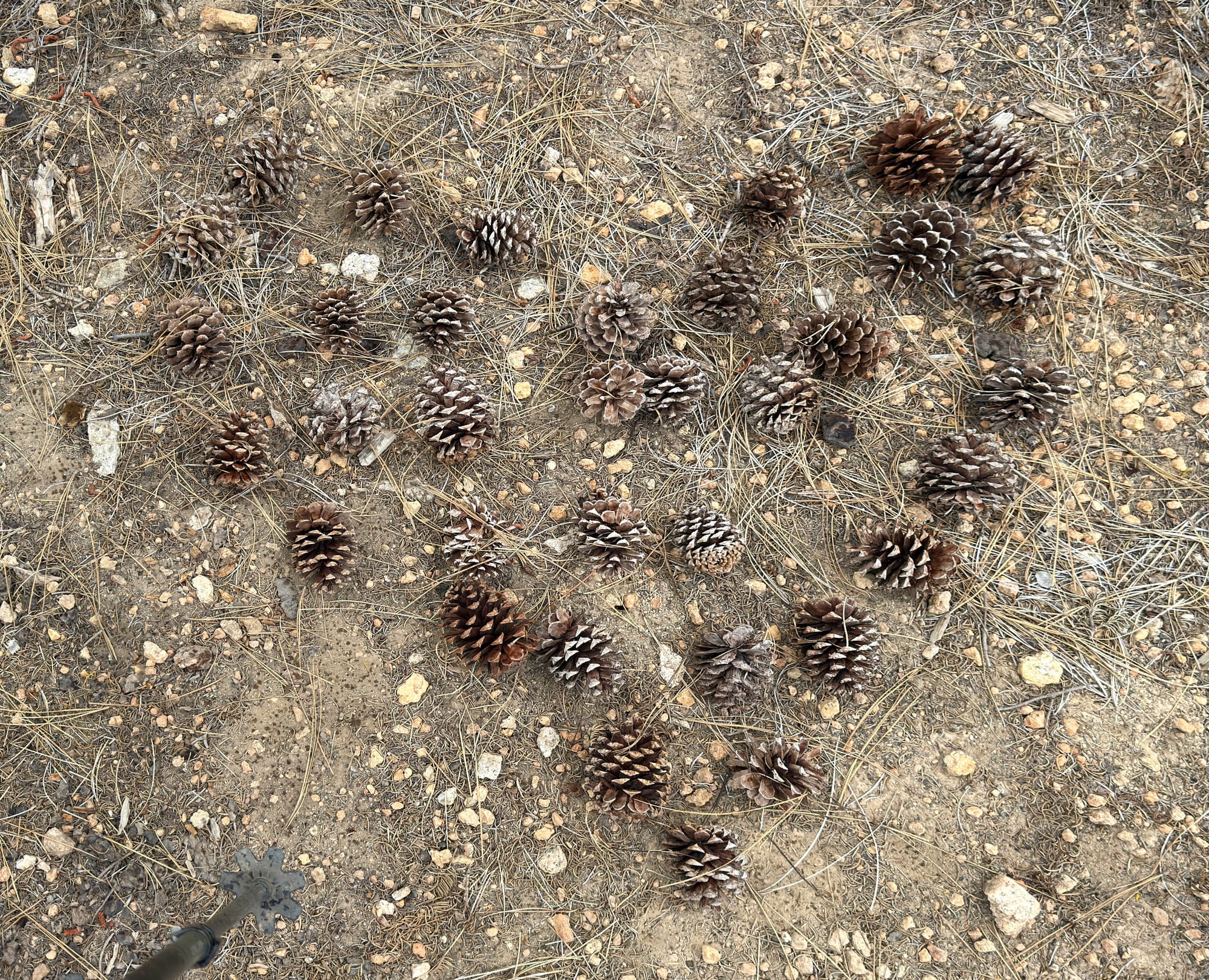 Pacific Crest Trail - Day 120 - Drakesbad Ranch