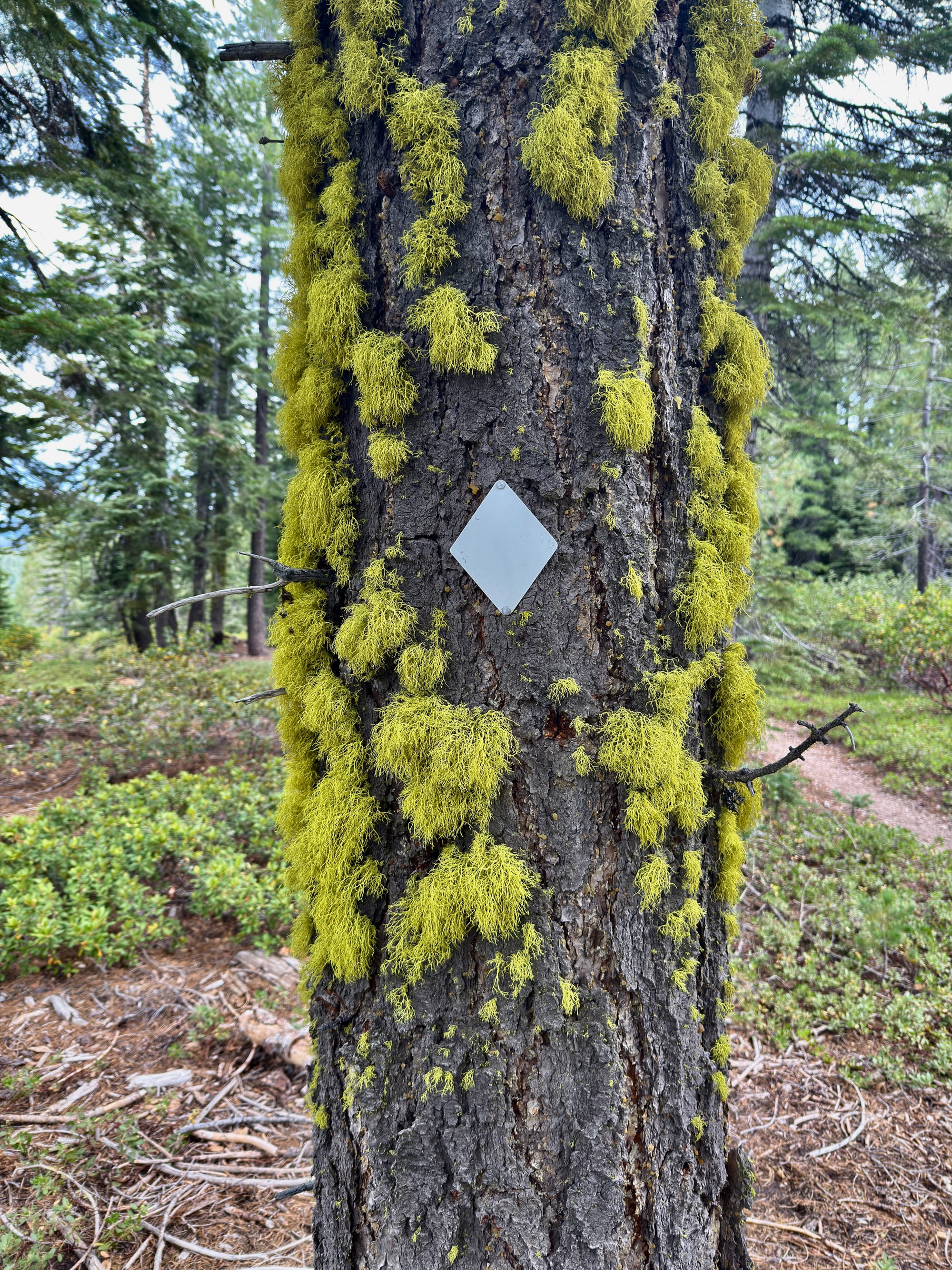 Pacific Crest Trail - Day 120 - Drakesbad Ranch