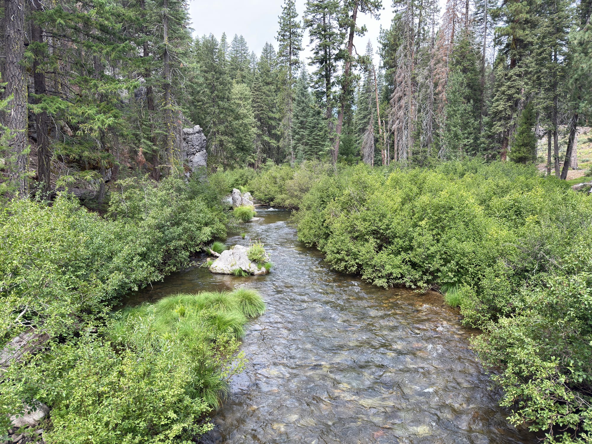 Pacific Crest Trail - Day 120 - Drakesbad Ranch