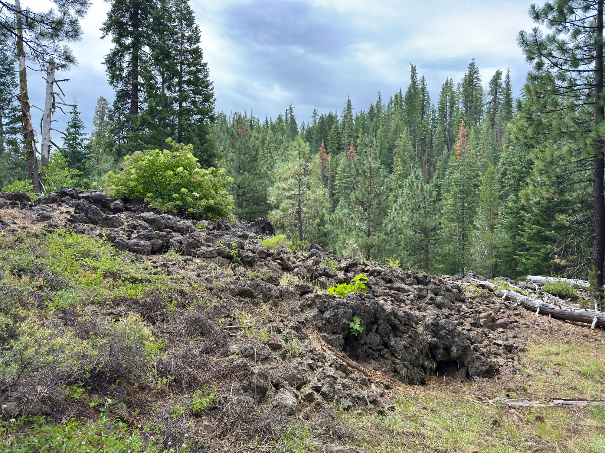 Pacific Crest Trail - Day 120 - Drakesbad Ranch