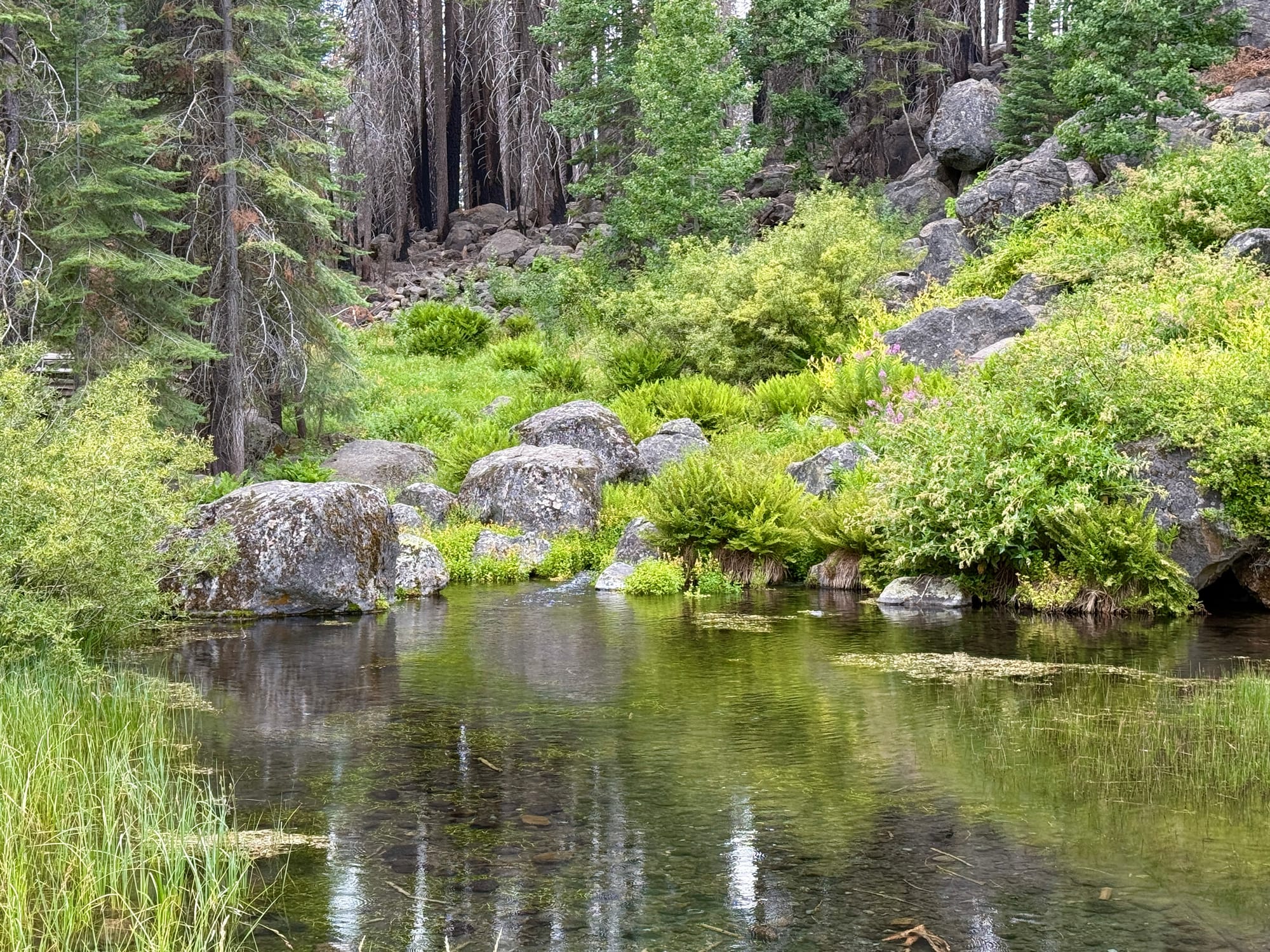 Pacific Crest Trail - Day 120 - Drakesbad Ranch