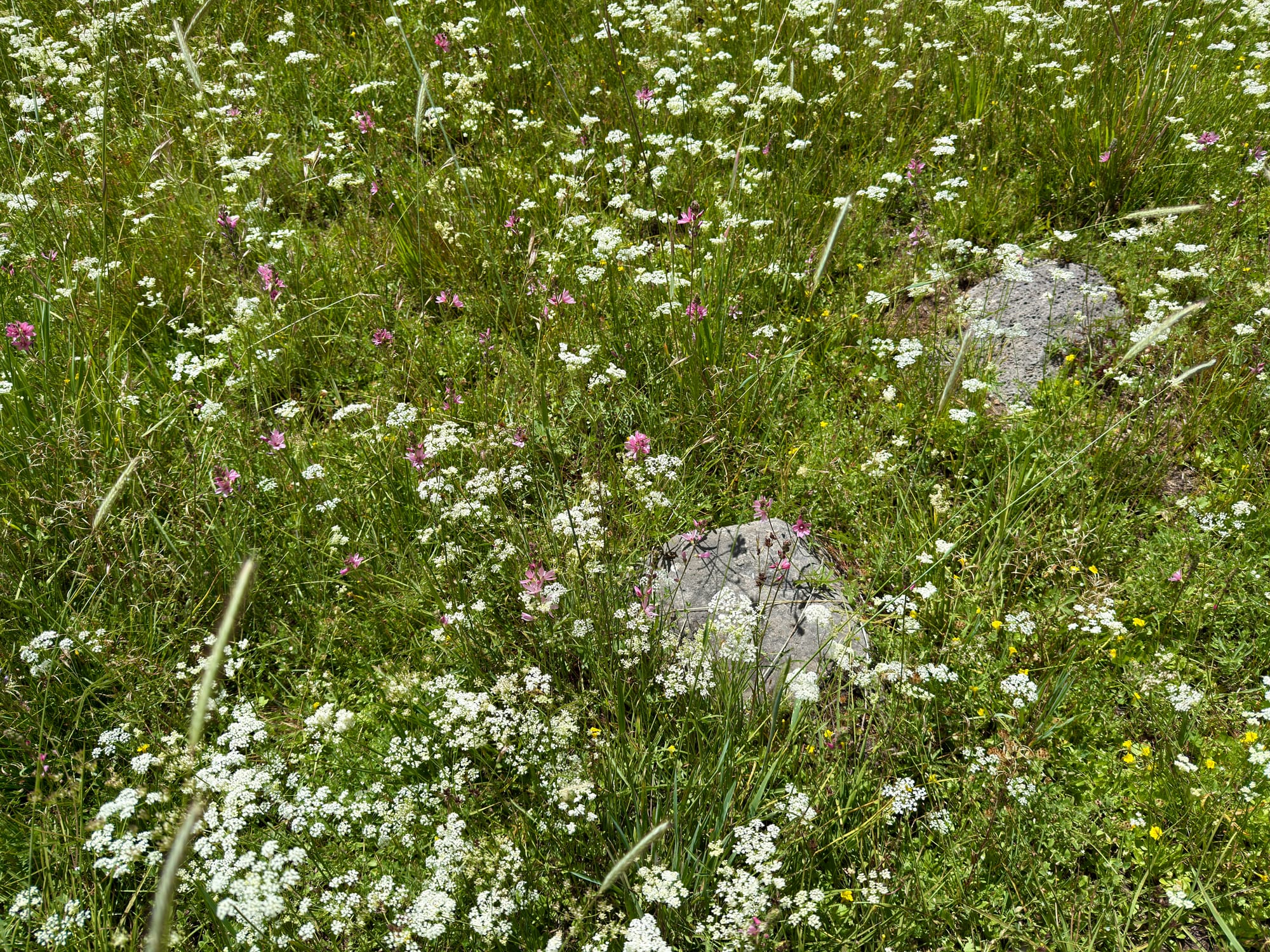Pacific Crest Trail - Day 120 - Drakesbad Ranch