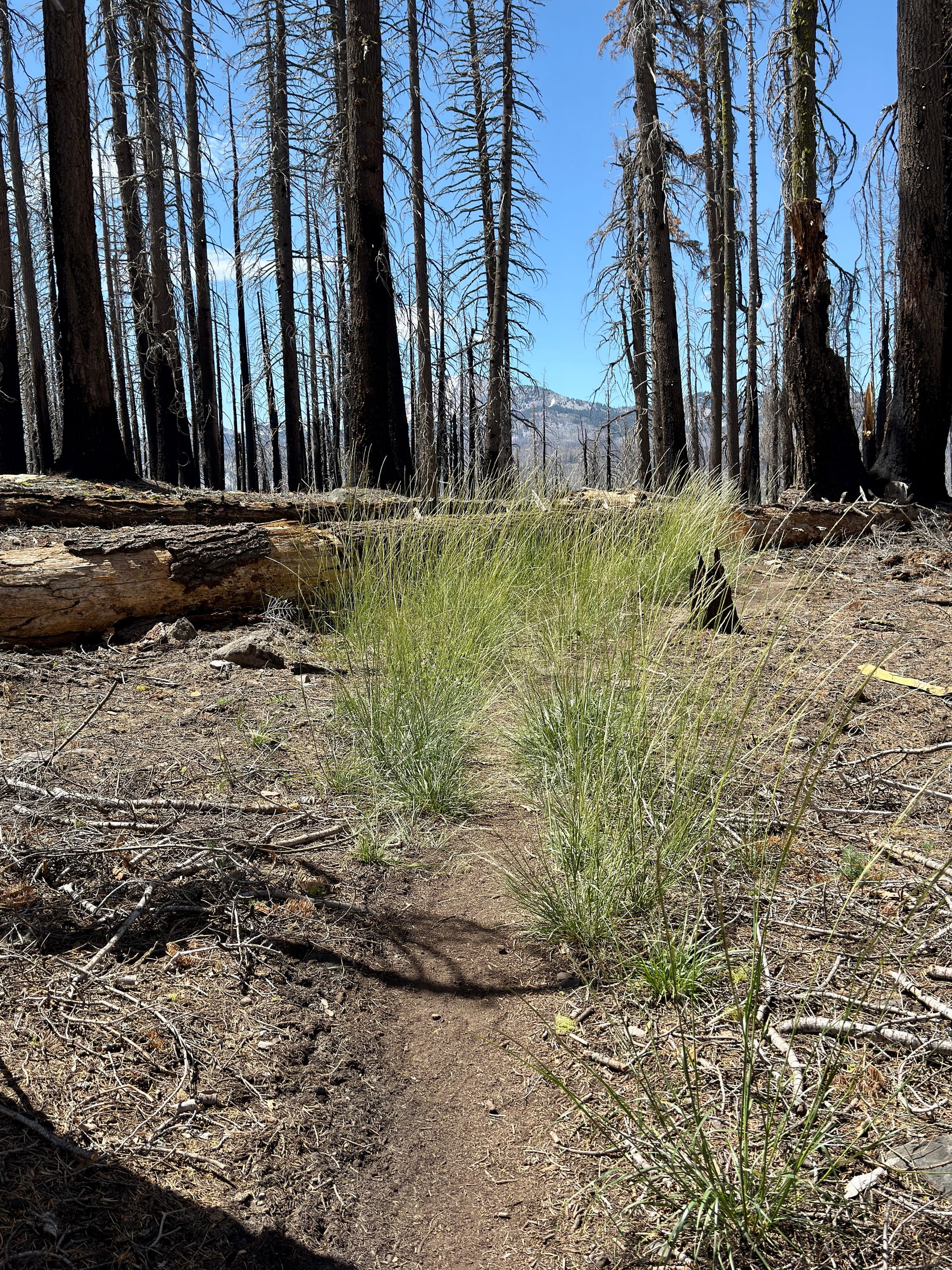 Pacific Crest Trail - Day 120 - Drakesbad Ranch