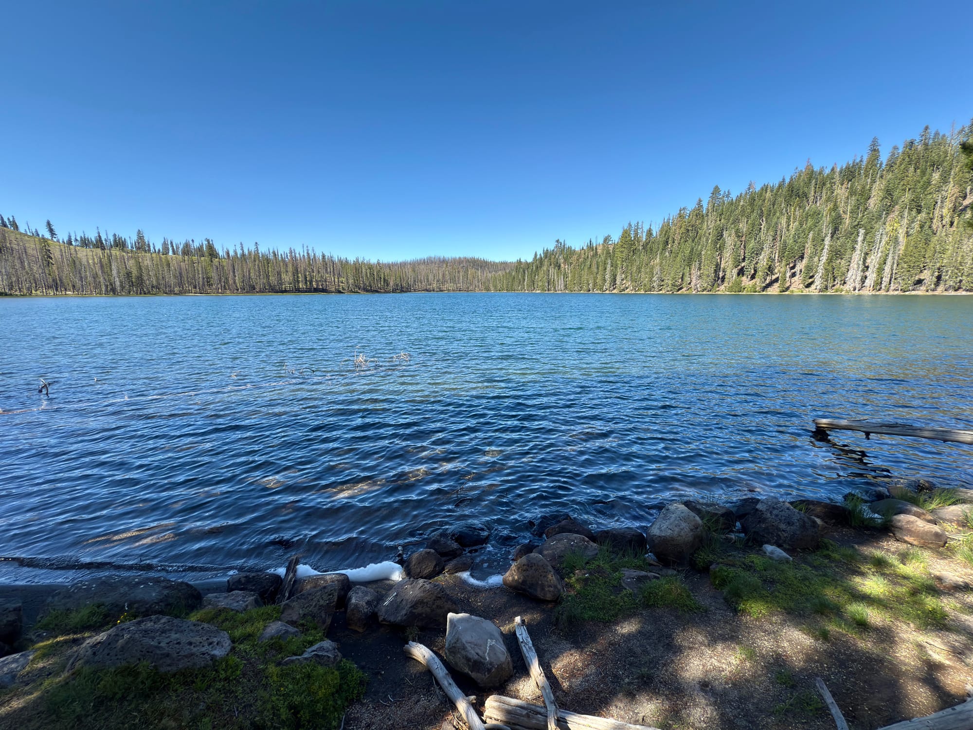 Pacific Crest Trail - Day 121 -  Lassen to Old Station