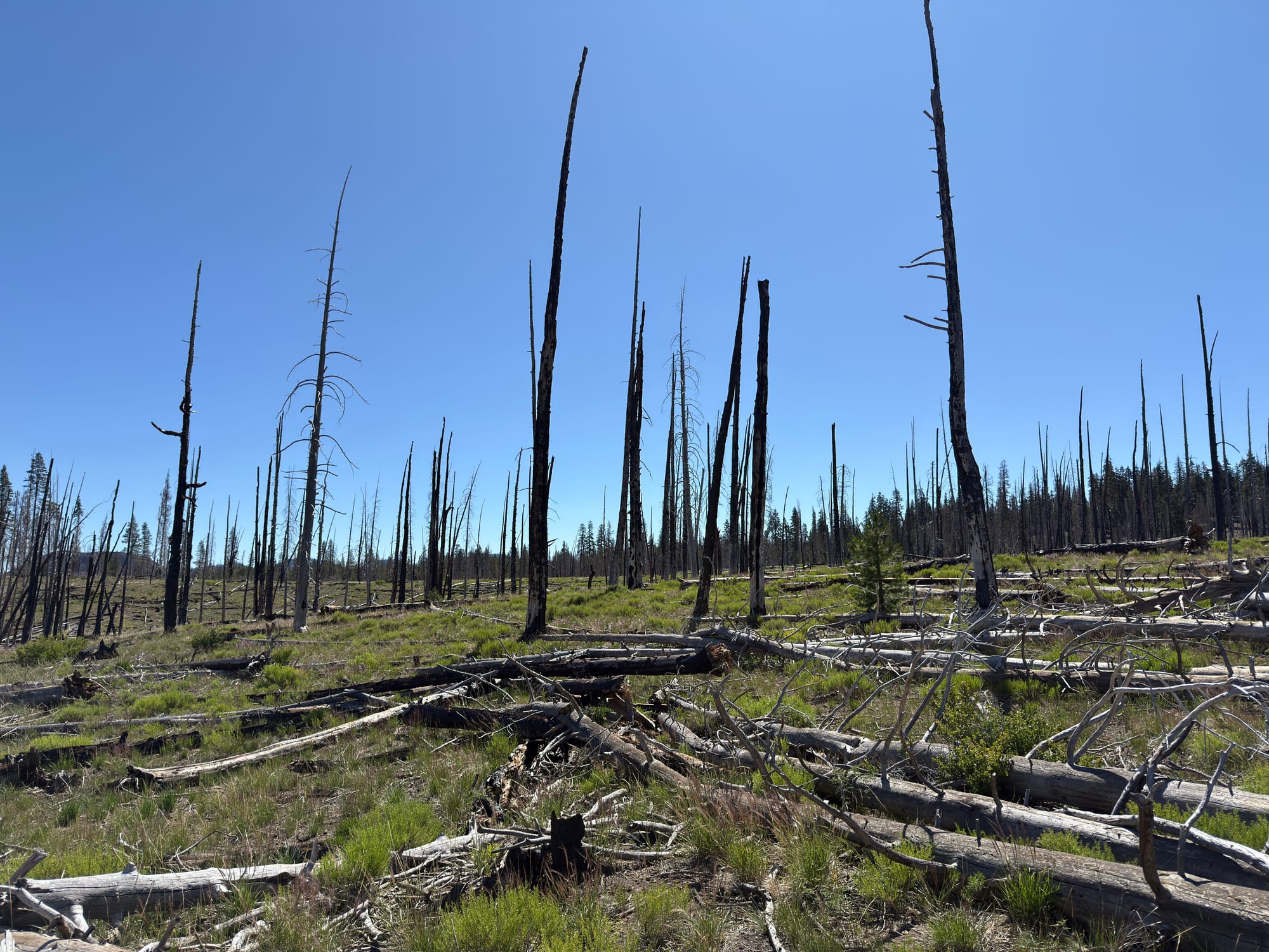 Pacific Crest Trail - Day 121 -  Lassen to Old Station