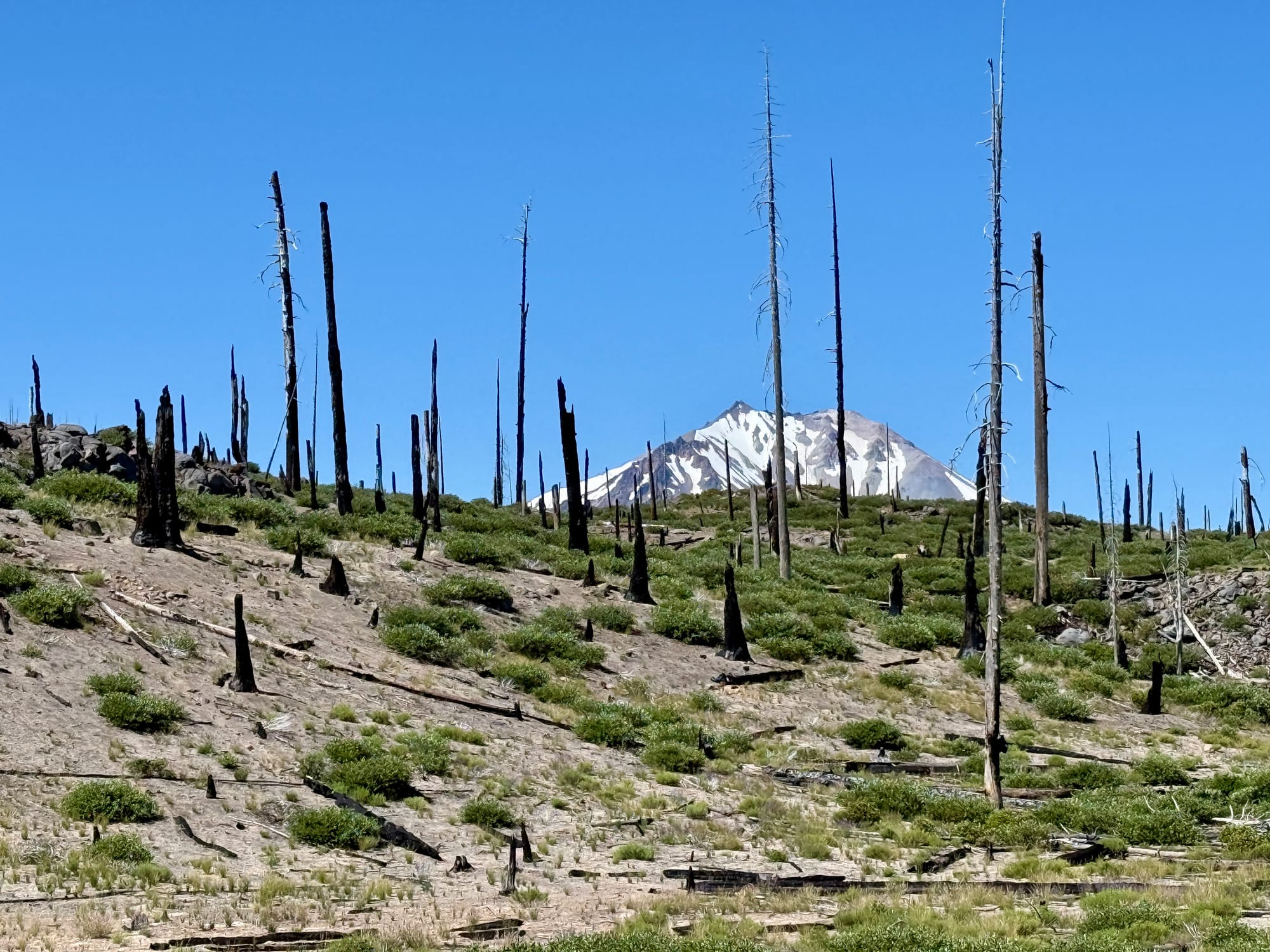 Pacific Crest Trail - Day 121 -  Lassen to Old Station