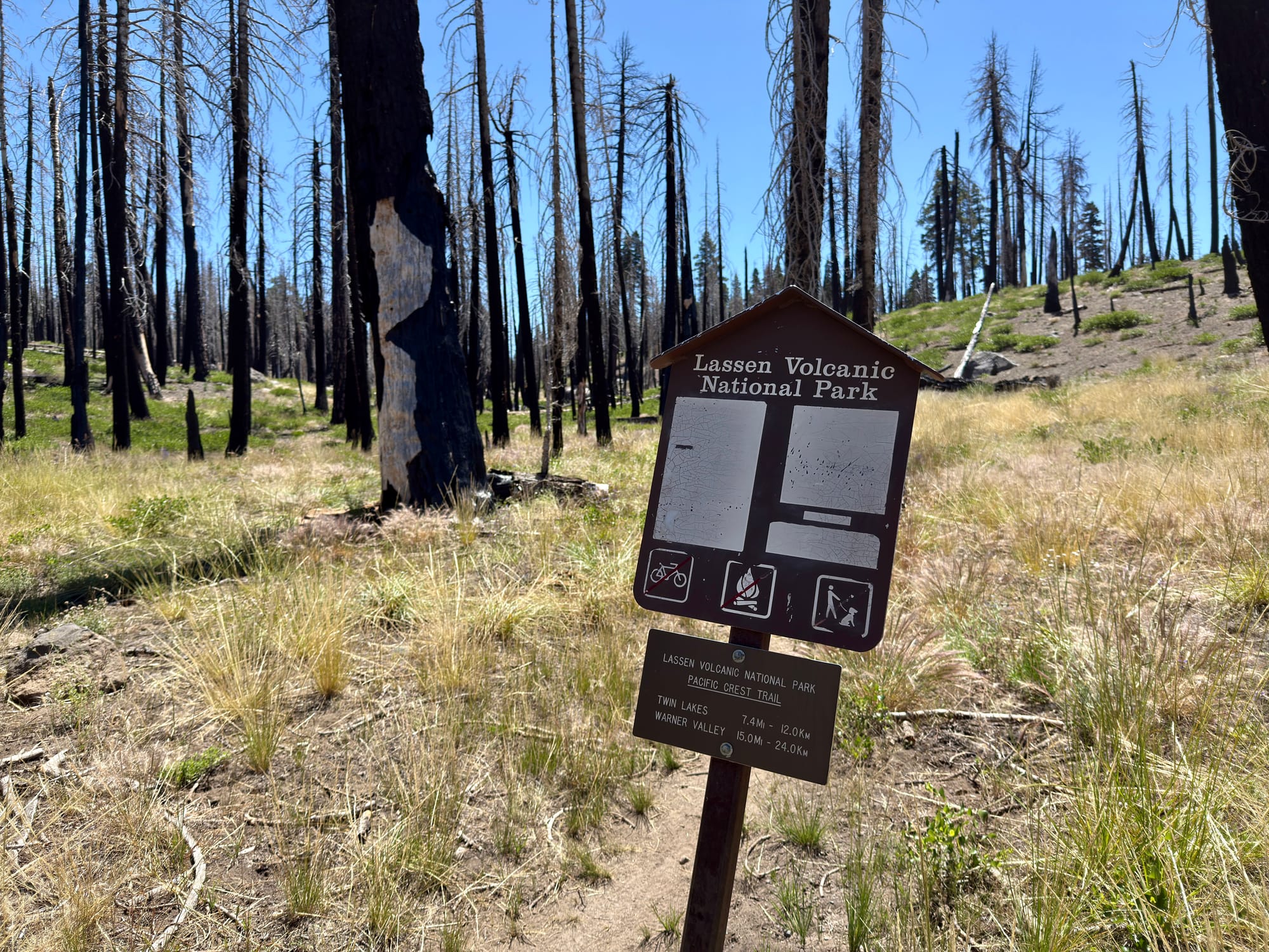 Pacific Crest Trail - Day 121 -  Lassen to Old Station