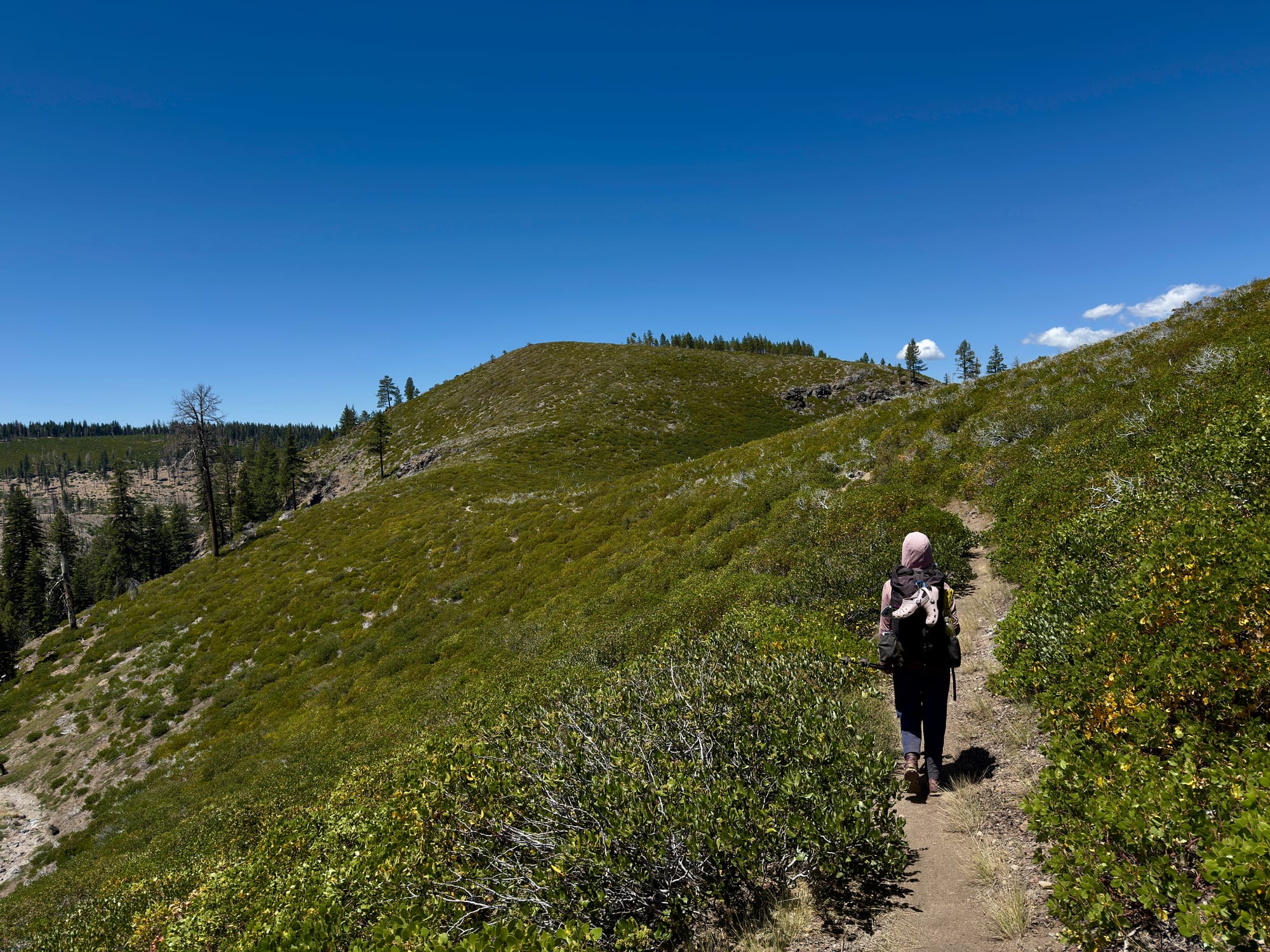Pacific Crest Trail - Day 121 -  Lassen to Old Station