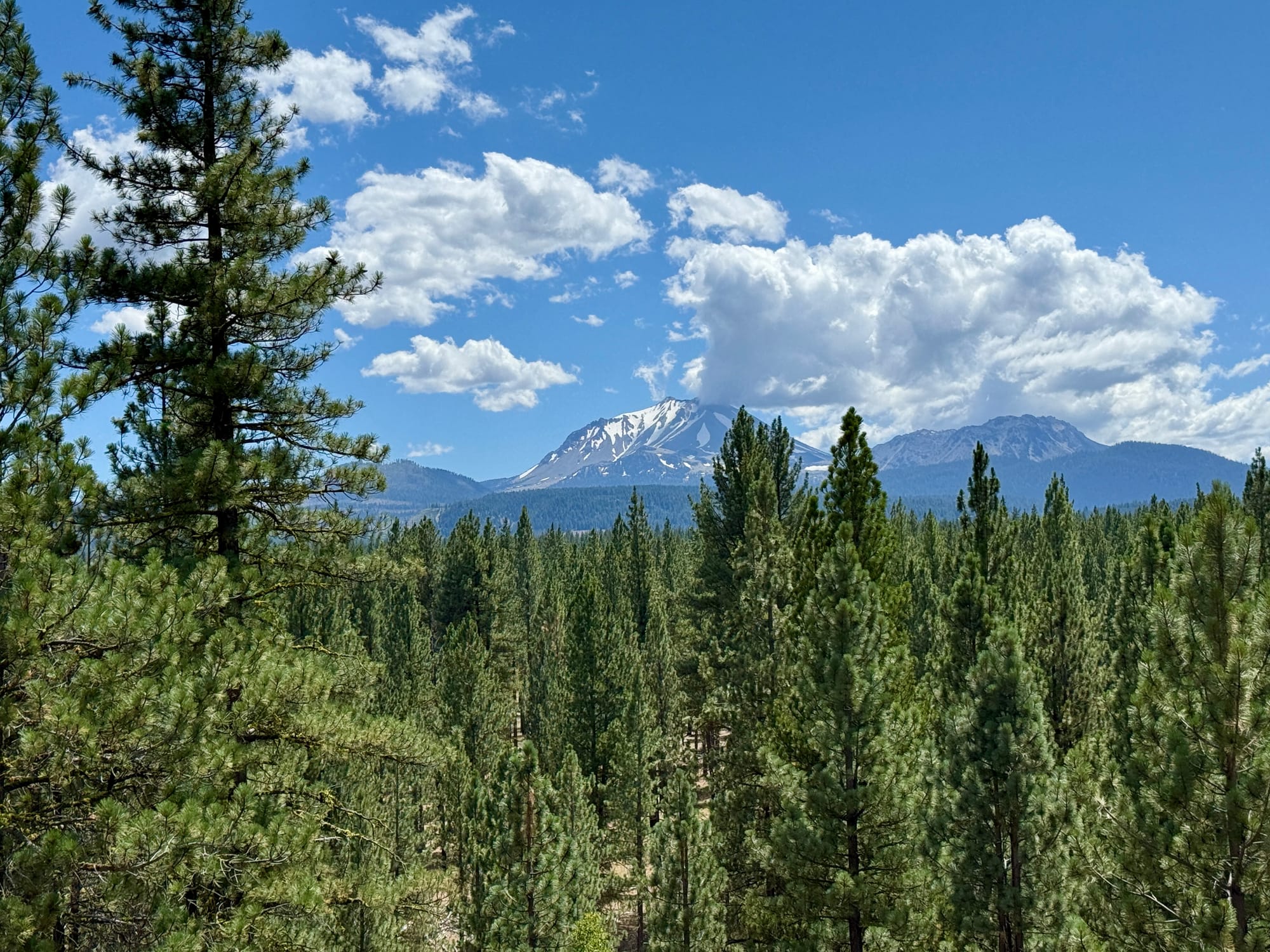Pacific Crest Trail - Day 121 -  Lassen to Old Station