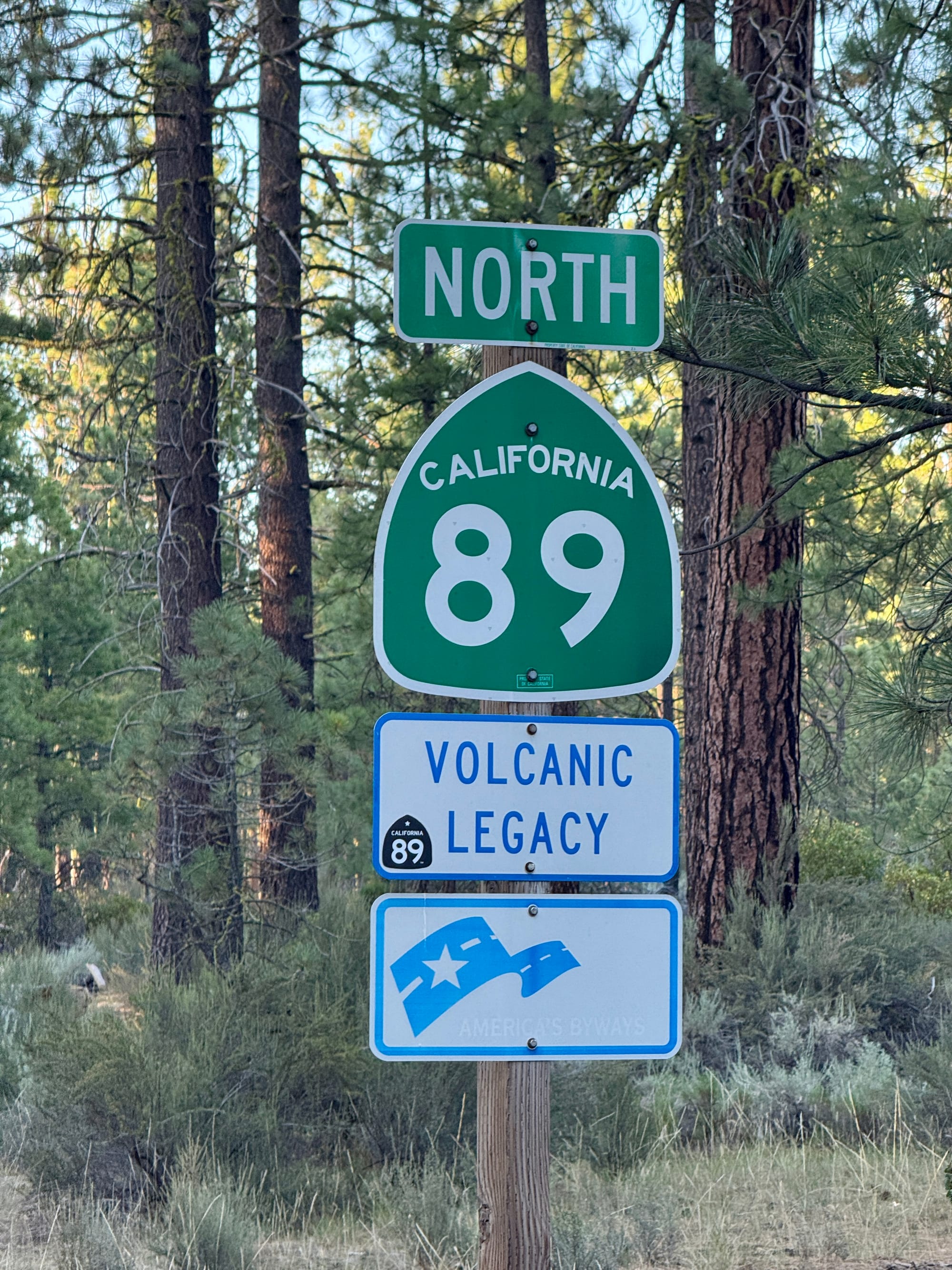 Pacific Crest Trail - Day 121 -  Lassen to Old Station