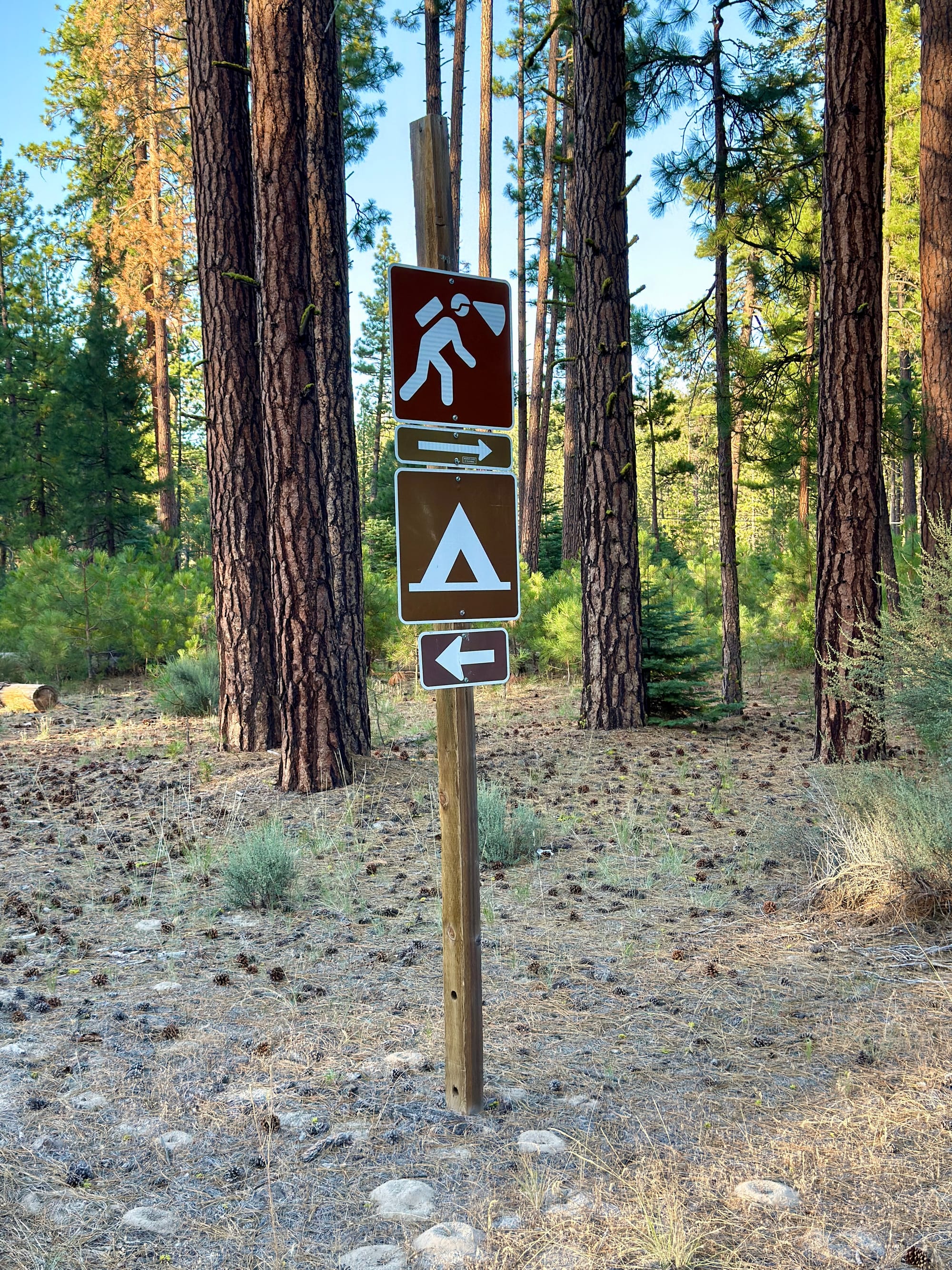 Pacific Crest Trail - Day 121 -  Lassen to Old Station