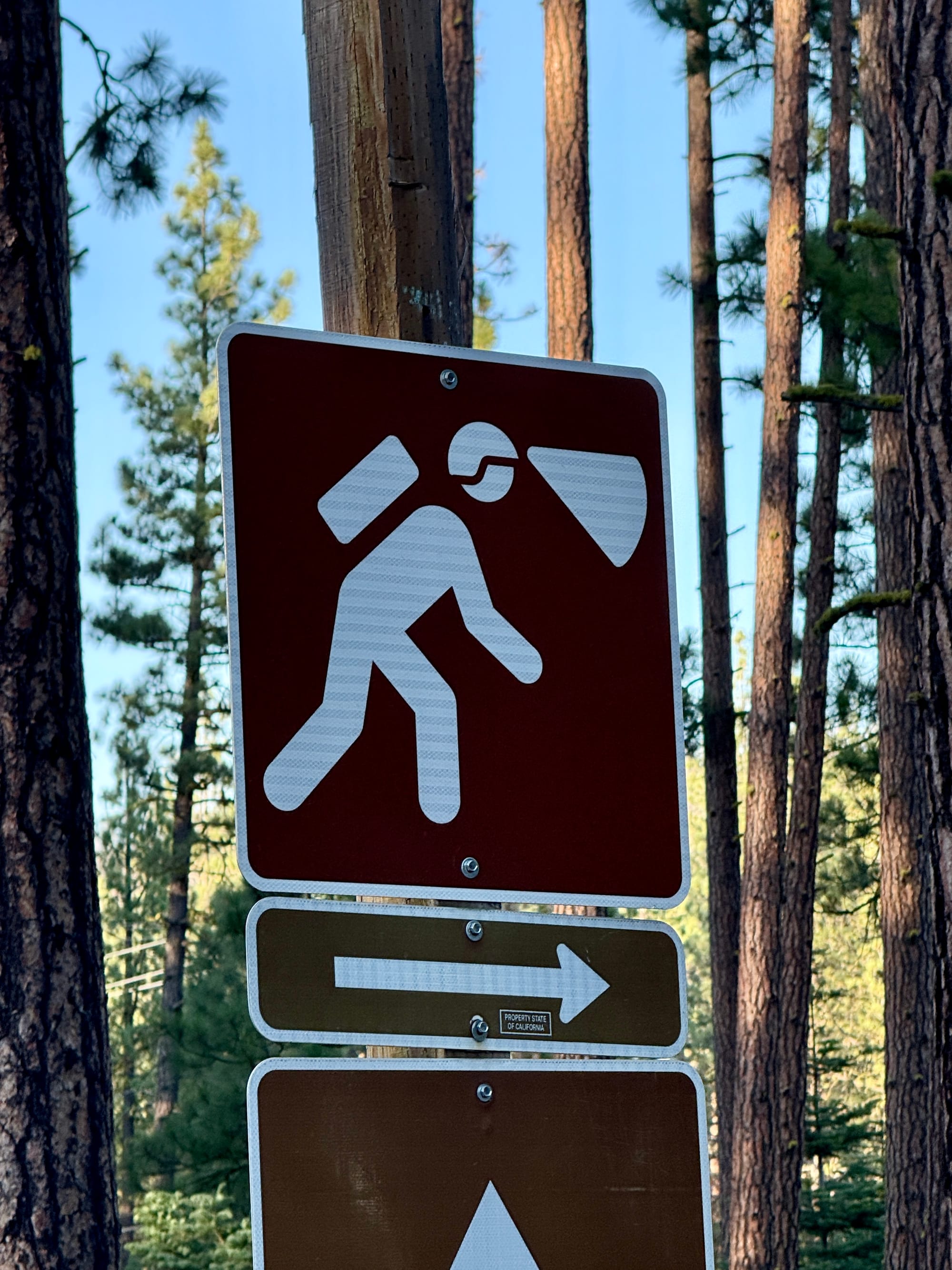 Pacific Crest Trail - Day 121 -  Lassen to Old Station