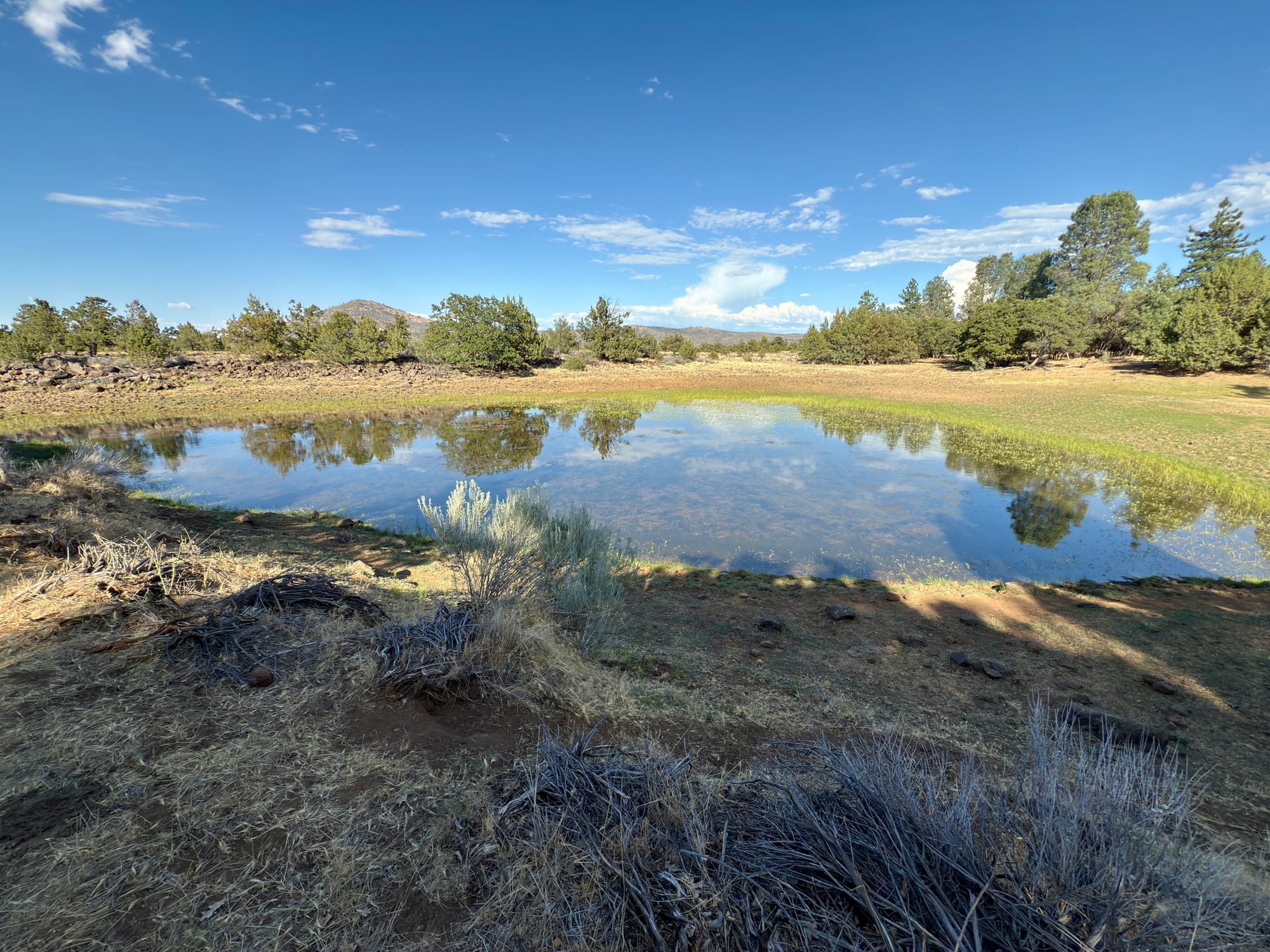 Pacific Creat Trail - Day 122 - Hat Creek Rim