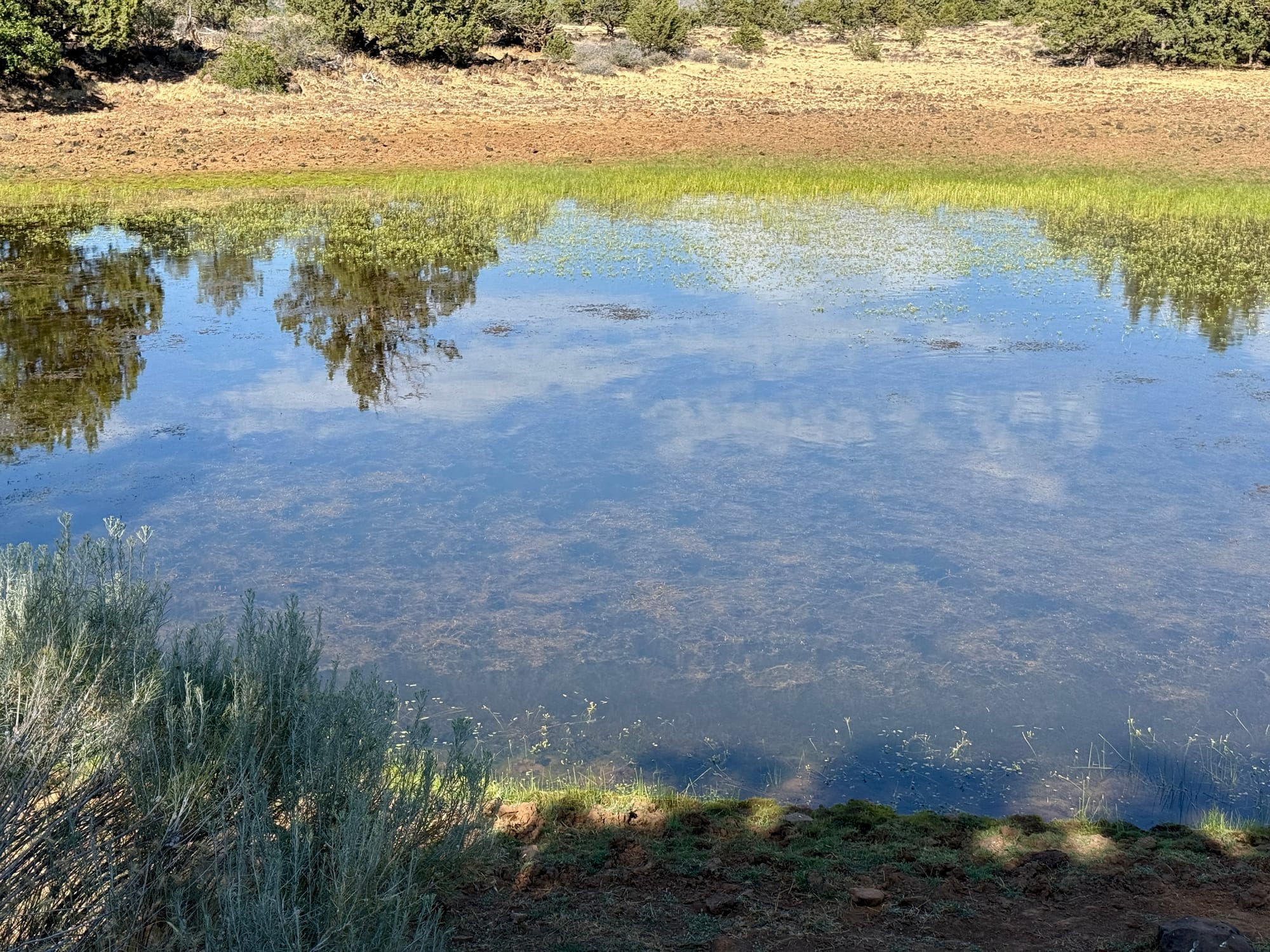 Pacific Creat Trail - Day 122 - Hat Creek Rim