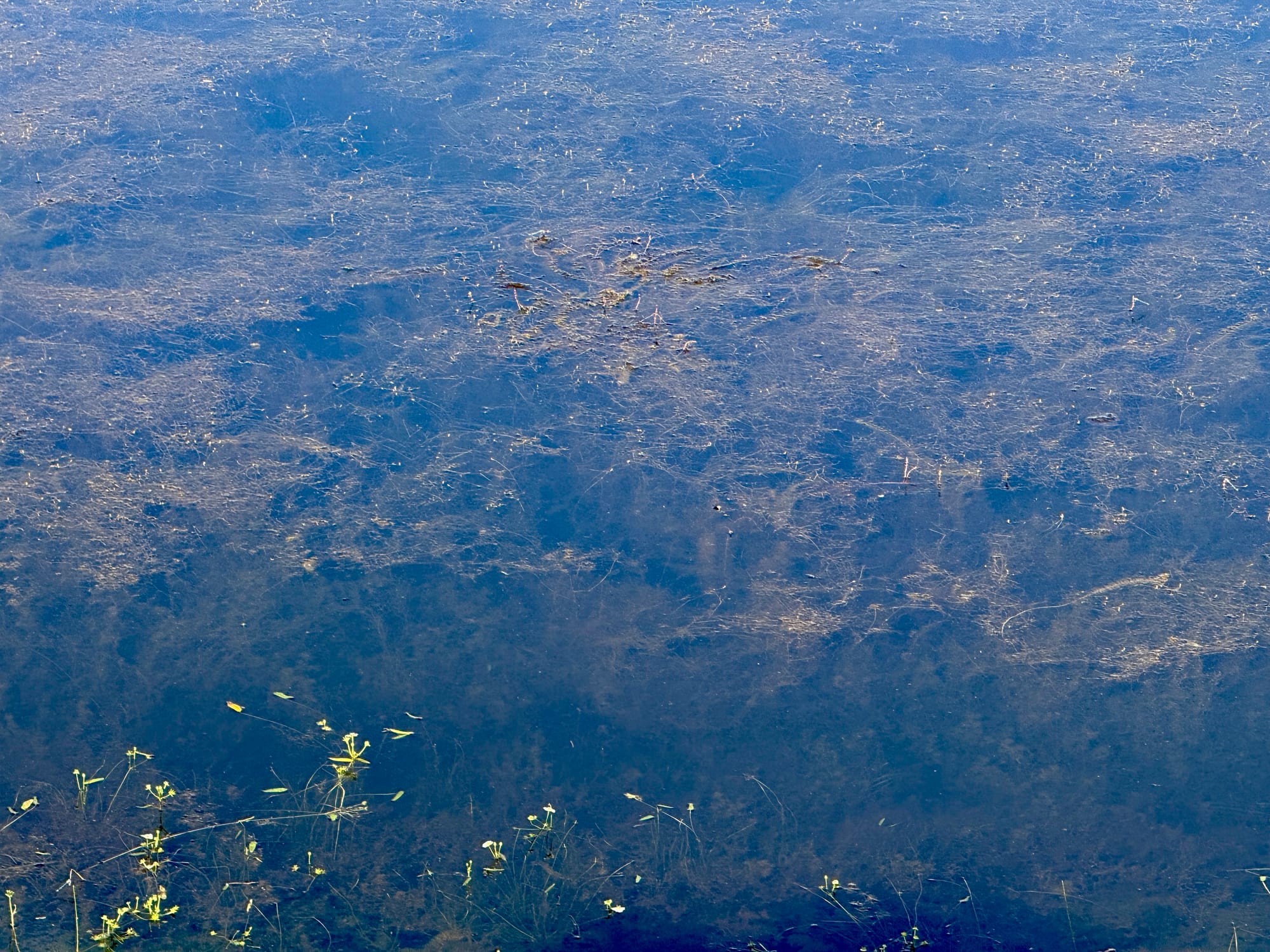 Pacific Creat Trail - Day 122 - Hat Creek Rim