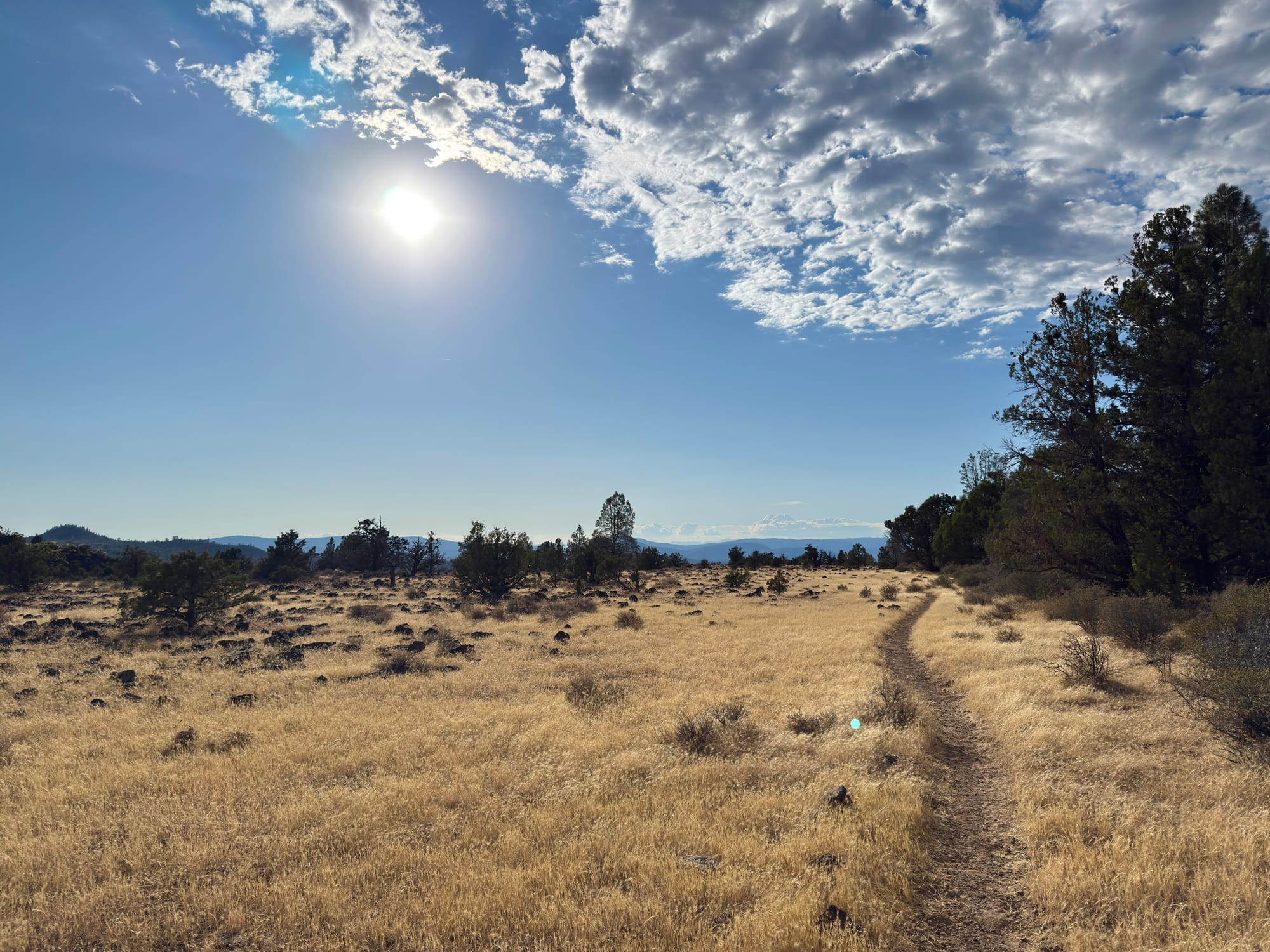 Pacific Creat Trail - Day 122 - Hat Creek Rim
