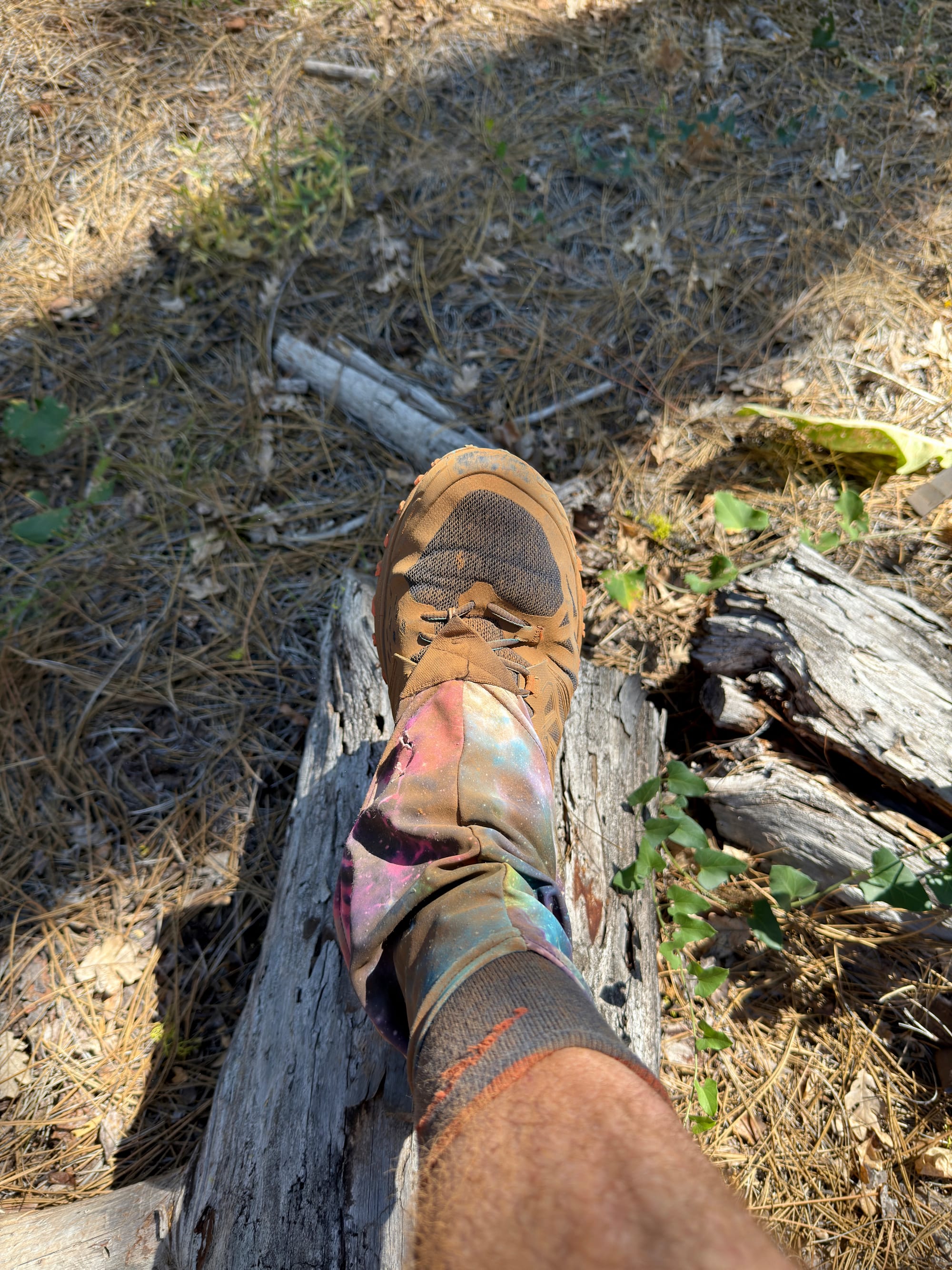 Pacific Creat Trail - Days 122-123 - Burney