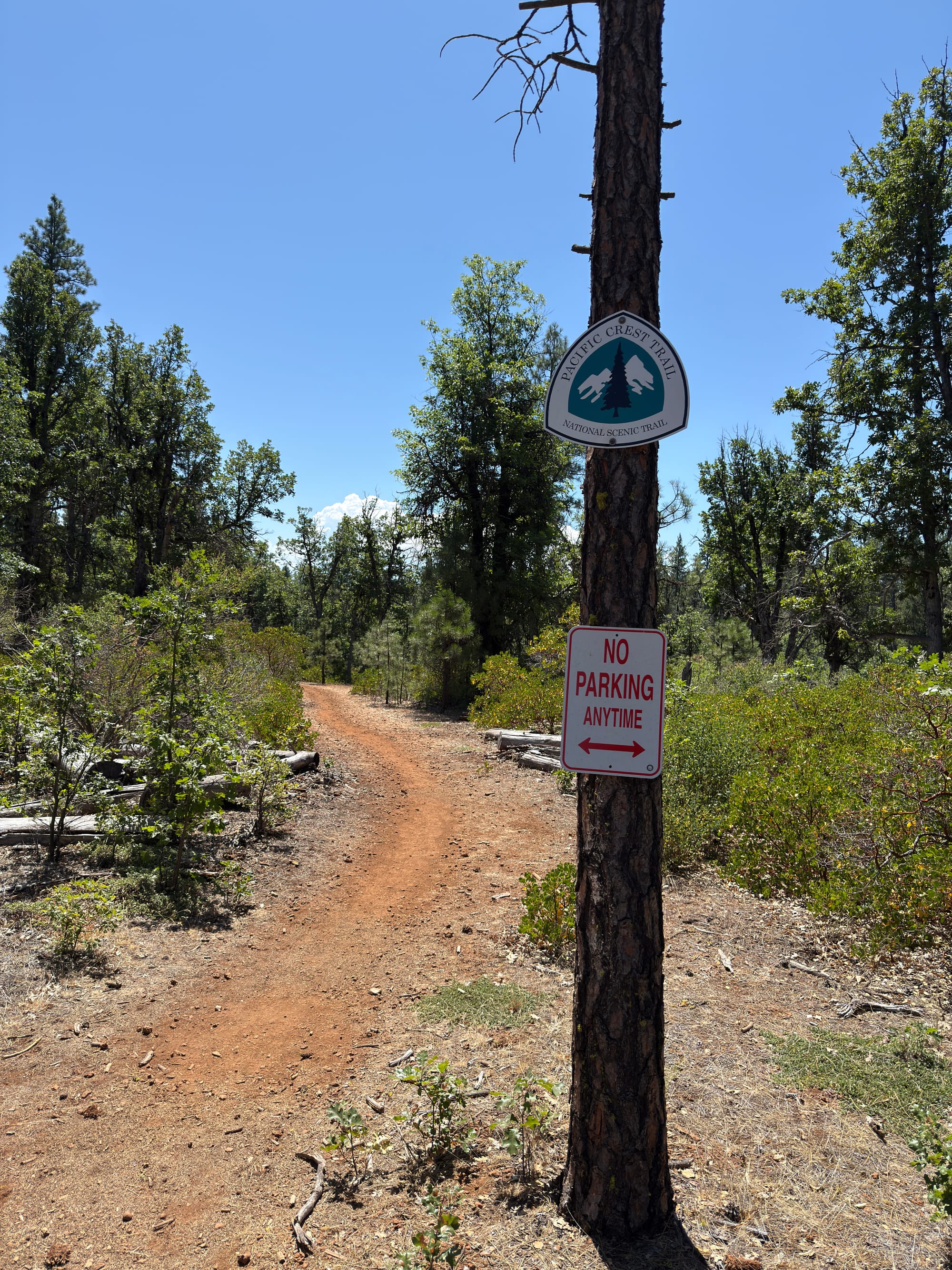 Pacific Creat Trail - Days 122-123 - Burney
