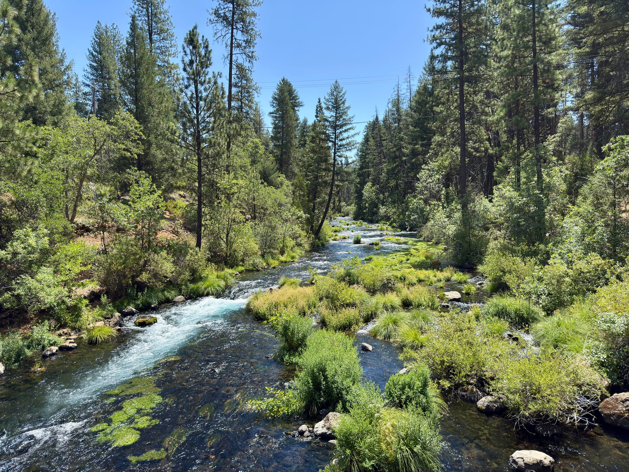 Pacific Creat Trail - Days 122-123 - Burney