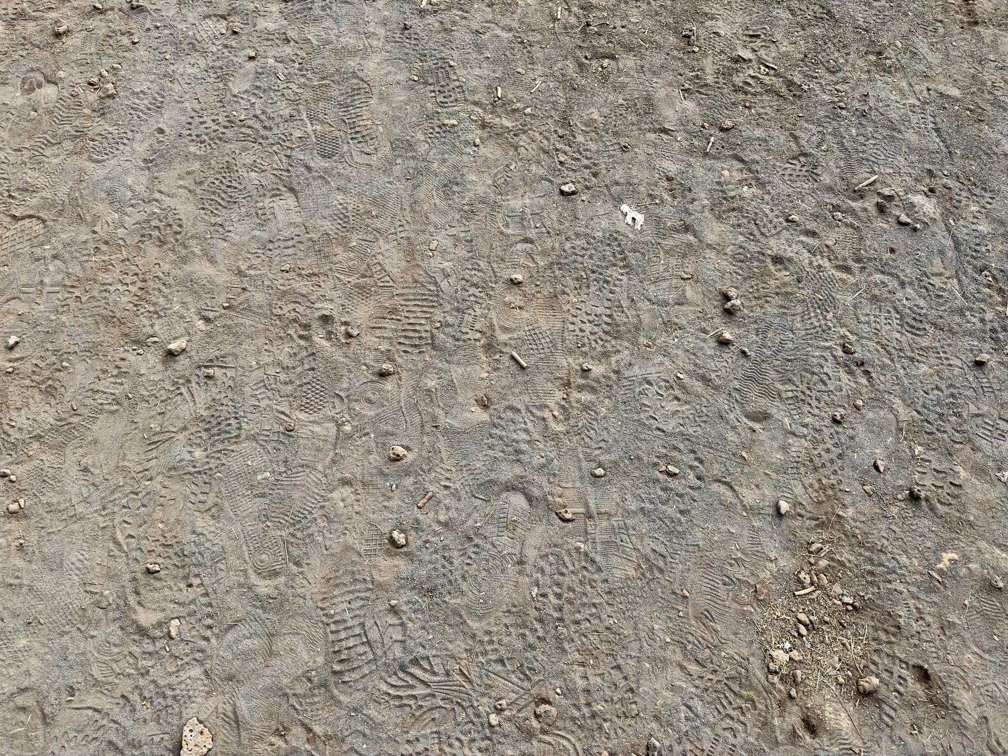 Pacific Creat Trail - Days 122-123 - Burney