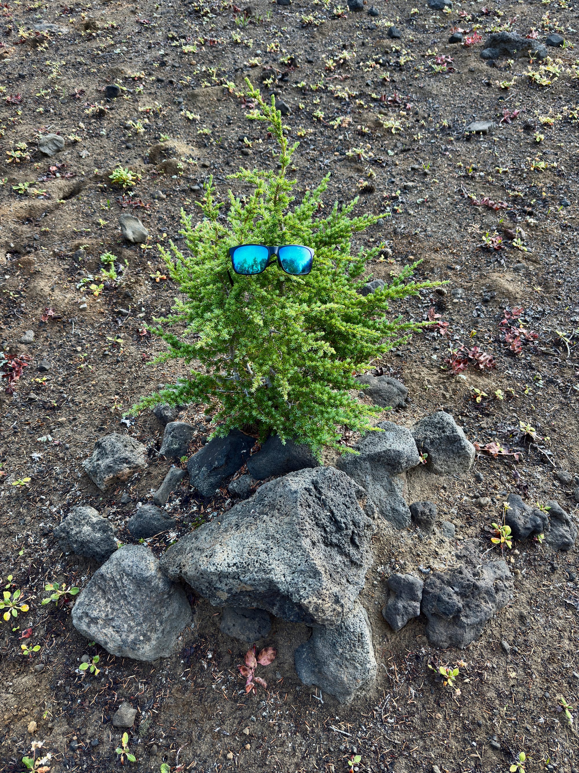Pacific Crest Trail - Day 157 - Mt. Jefferson