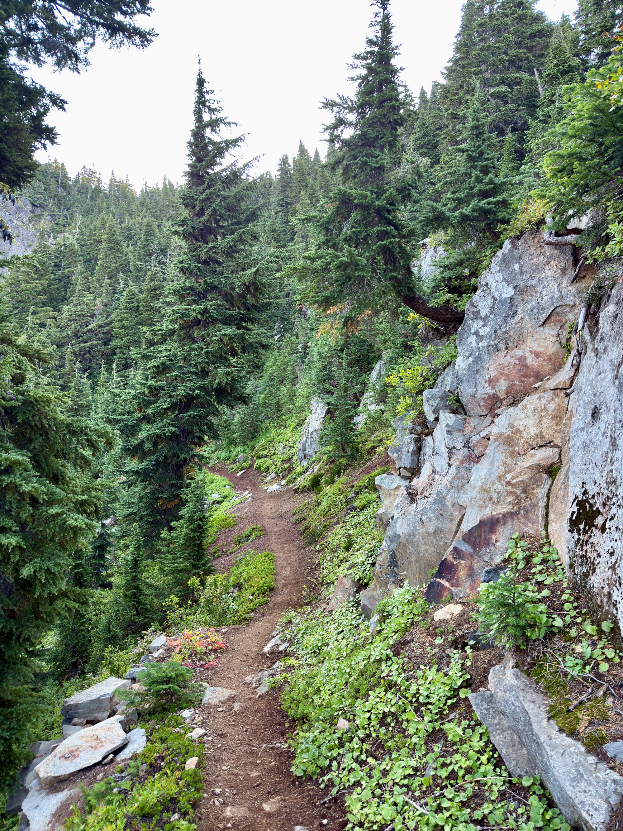 Pacific Crest Trail - Day 157 - Mt. Jefferson