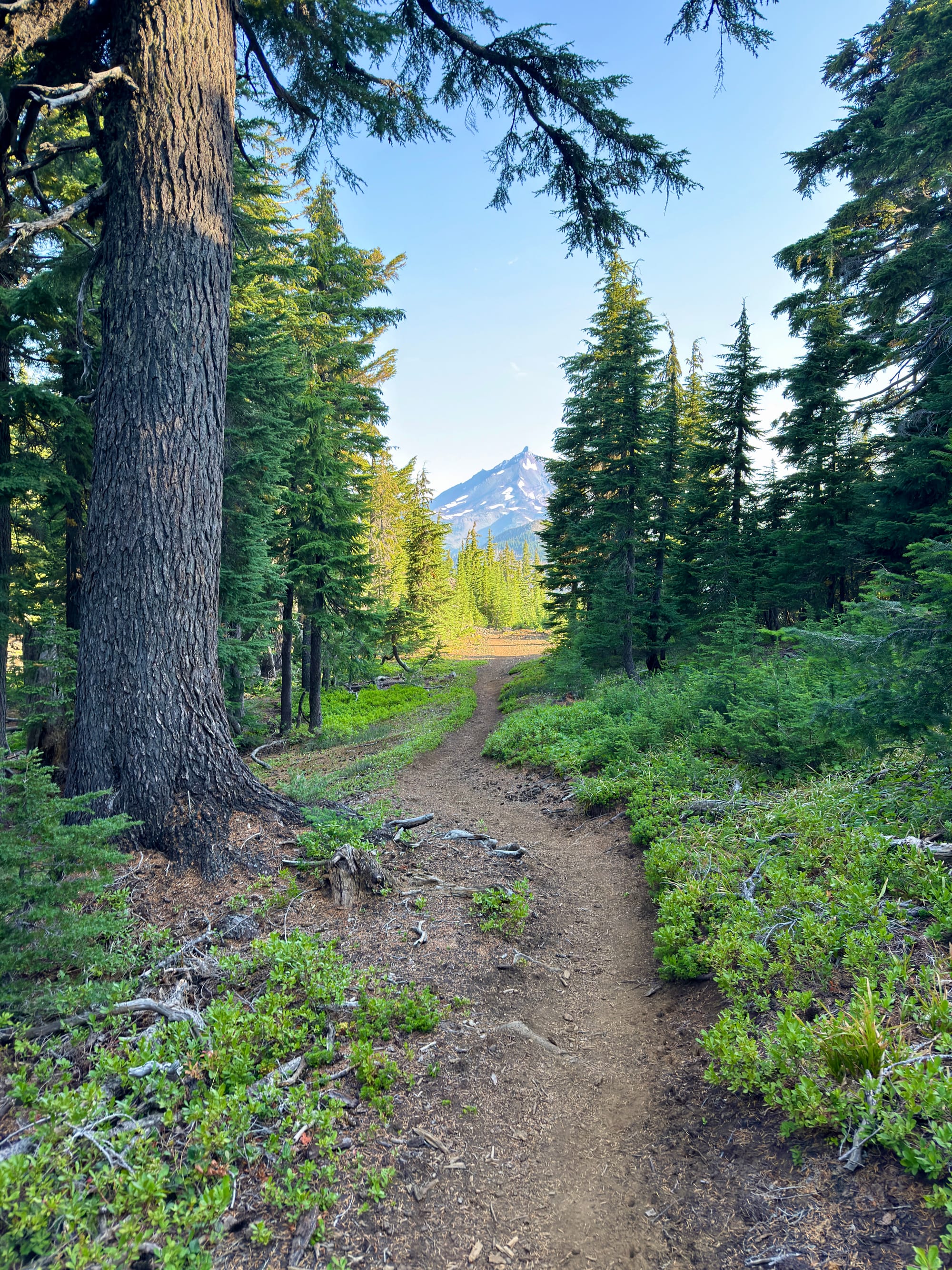 Pacific Crest Trail - Day 157 - Mt. Jefferson