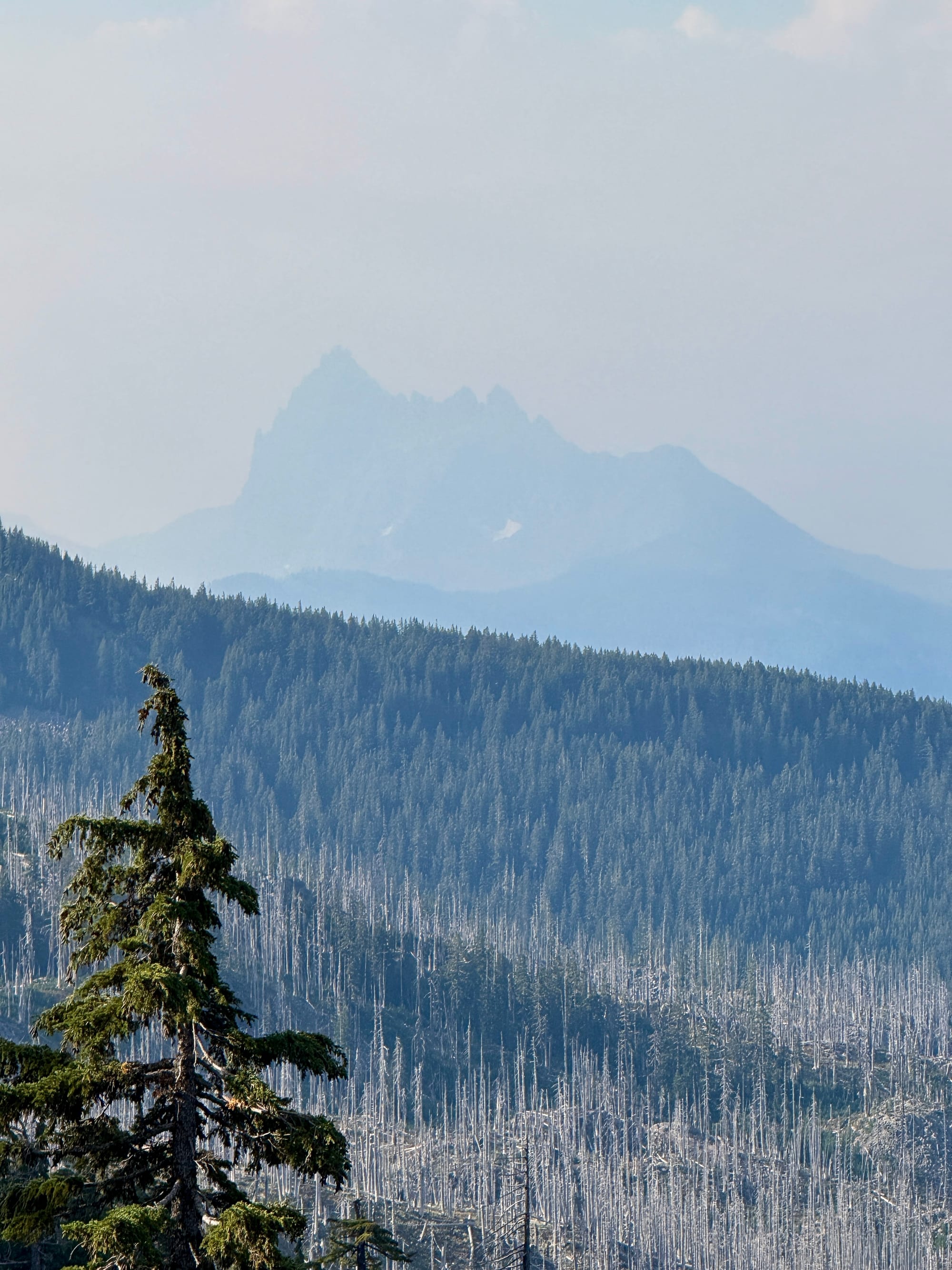 Pacific Crest Trail - Day 157 - Mt. Jefferson