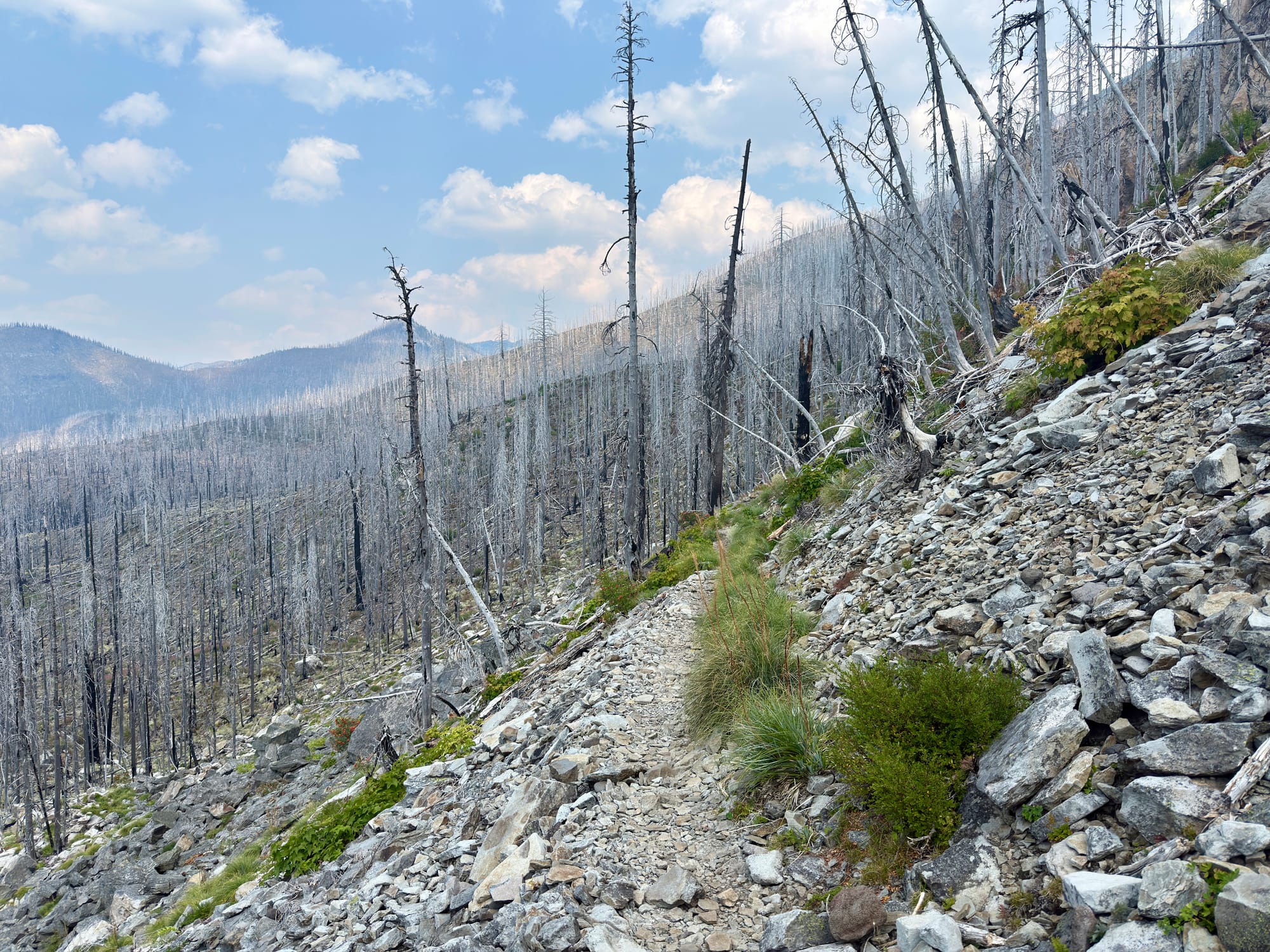 Pacific Crest Trail - Day 157 - Mt. Jefferson