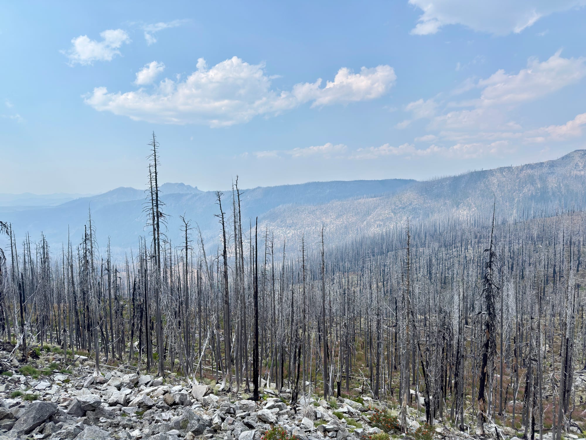 Pacific Crest Trail - Day 157 - Mt. Jefferson