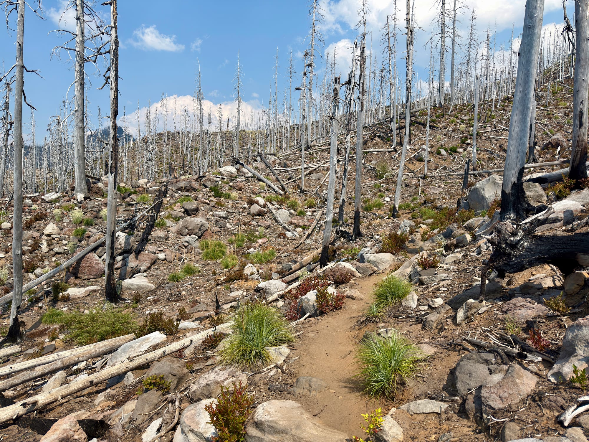 Pacific Crest Trail - Day 157 - Mt. Jefferson