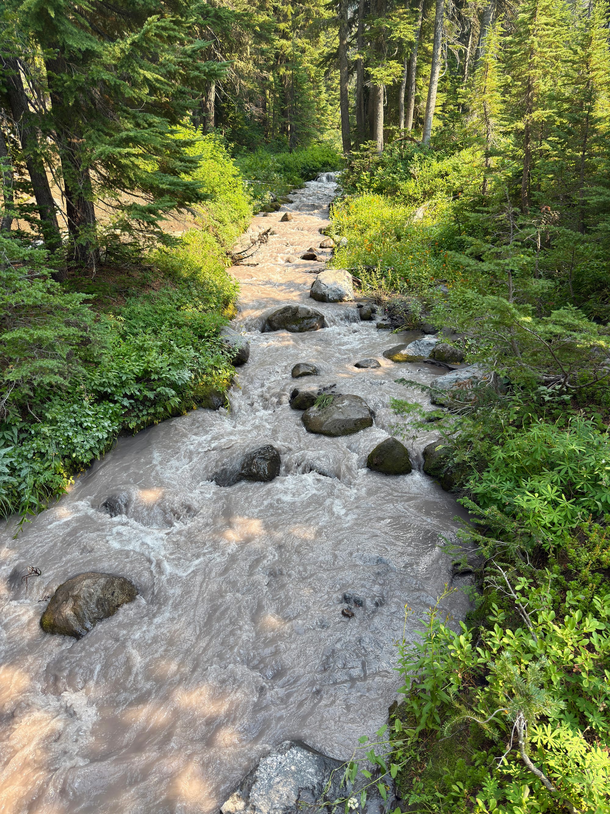 Pacific Crest Trail - Day 157 - Mt. Jefferson