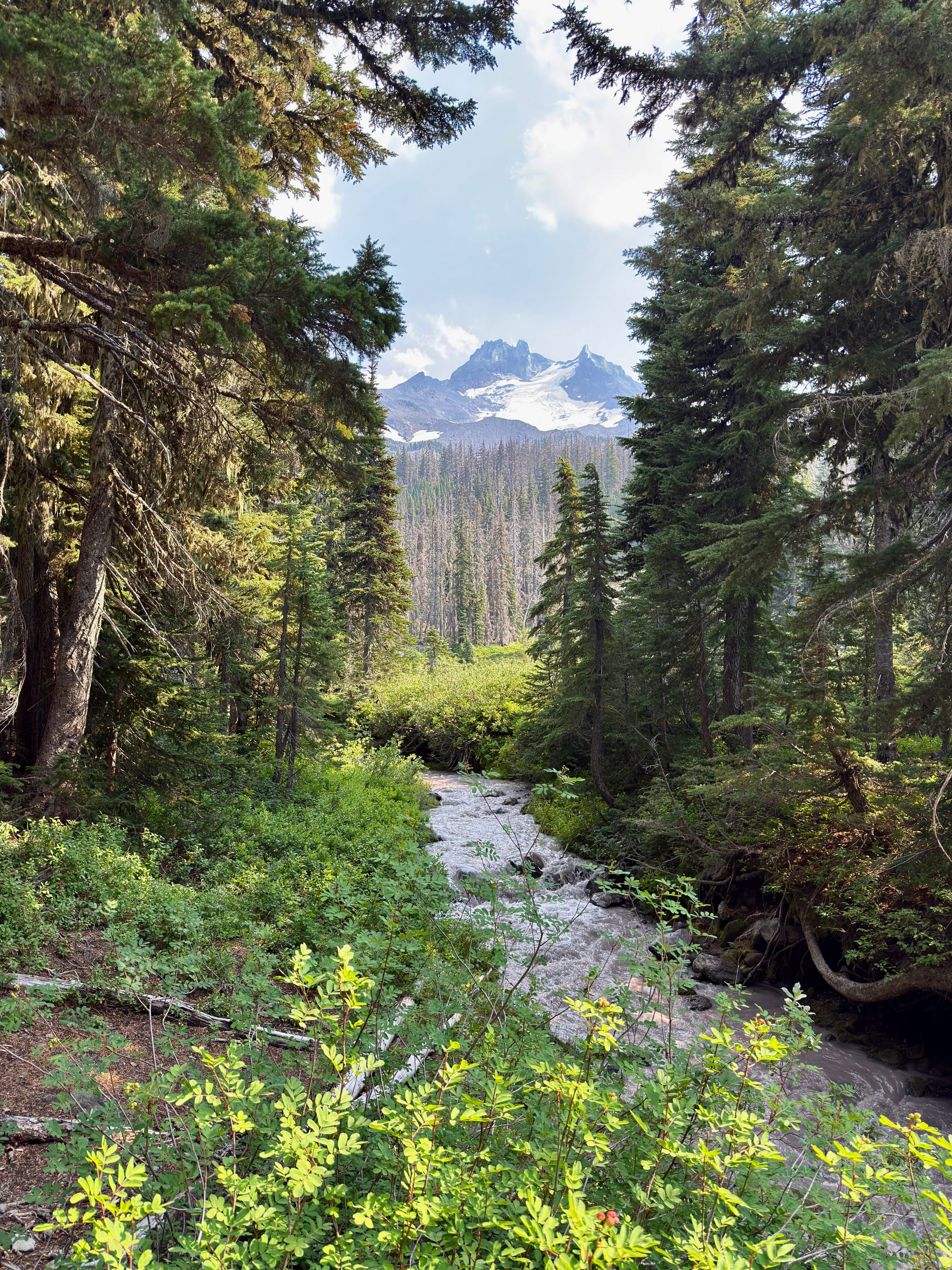 Pacific Crest Trail - Day 157 - Mt. Jefferson