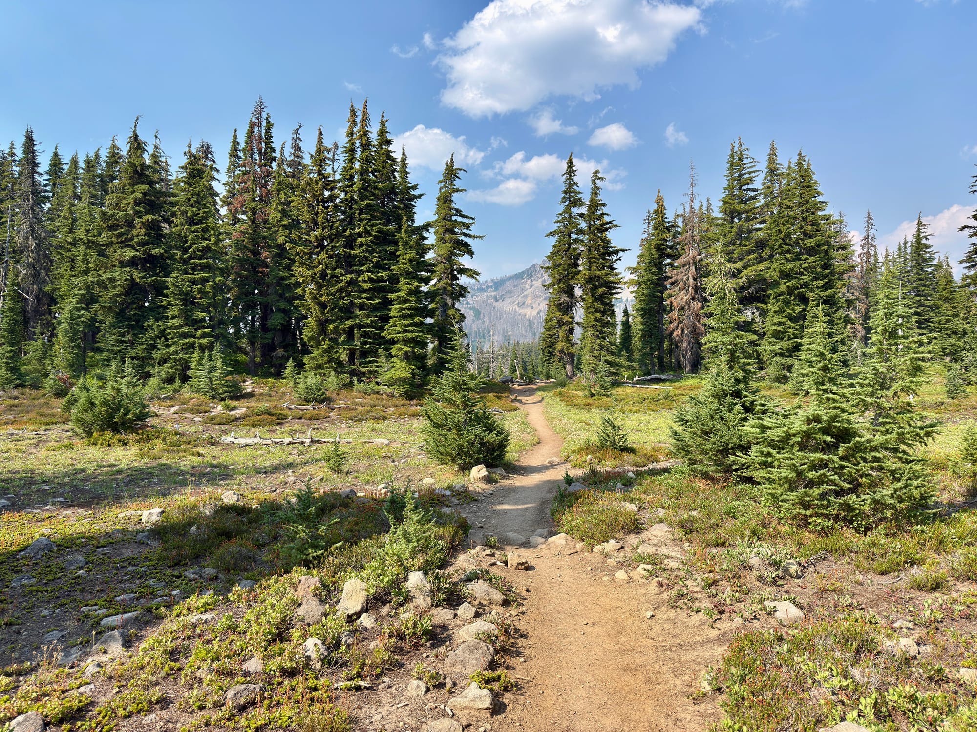 Pacific Crest Trail - Day 157 - Mt. Jefferson