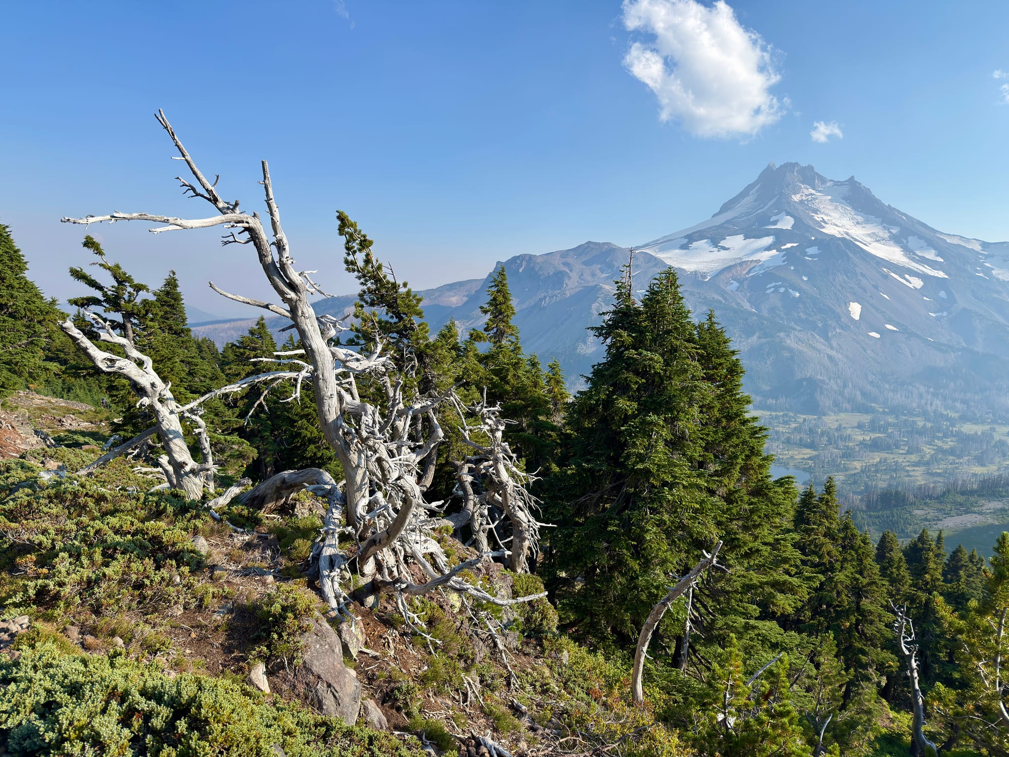 Pacific Crest Trail - Day 157 - Mt. Jefferson