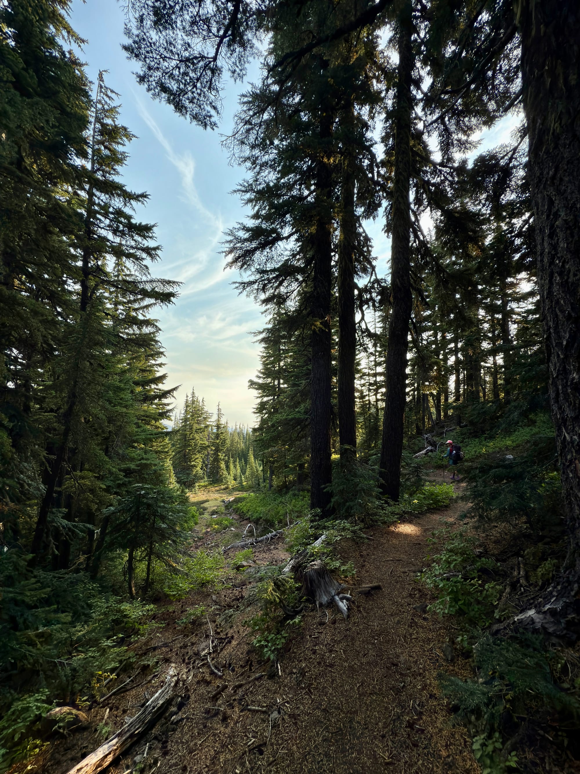 Pacific Crest Trail - Day 158 - Olallie Lake